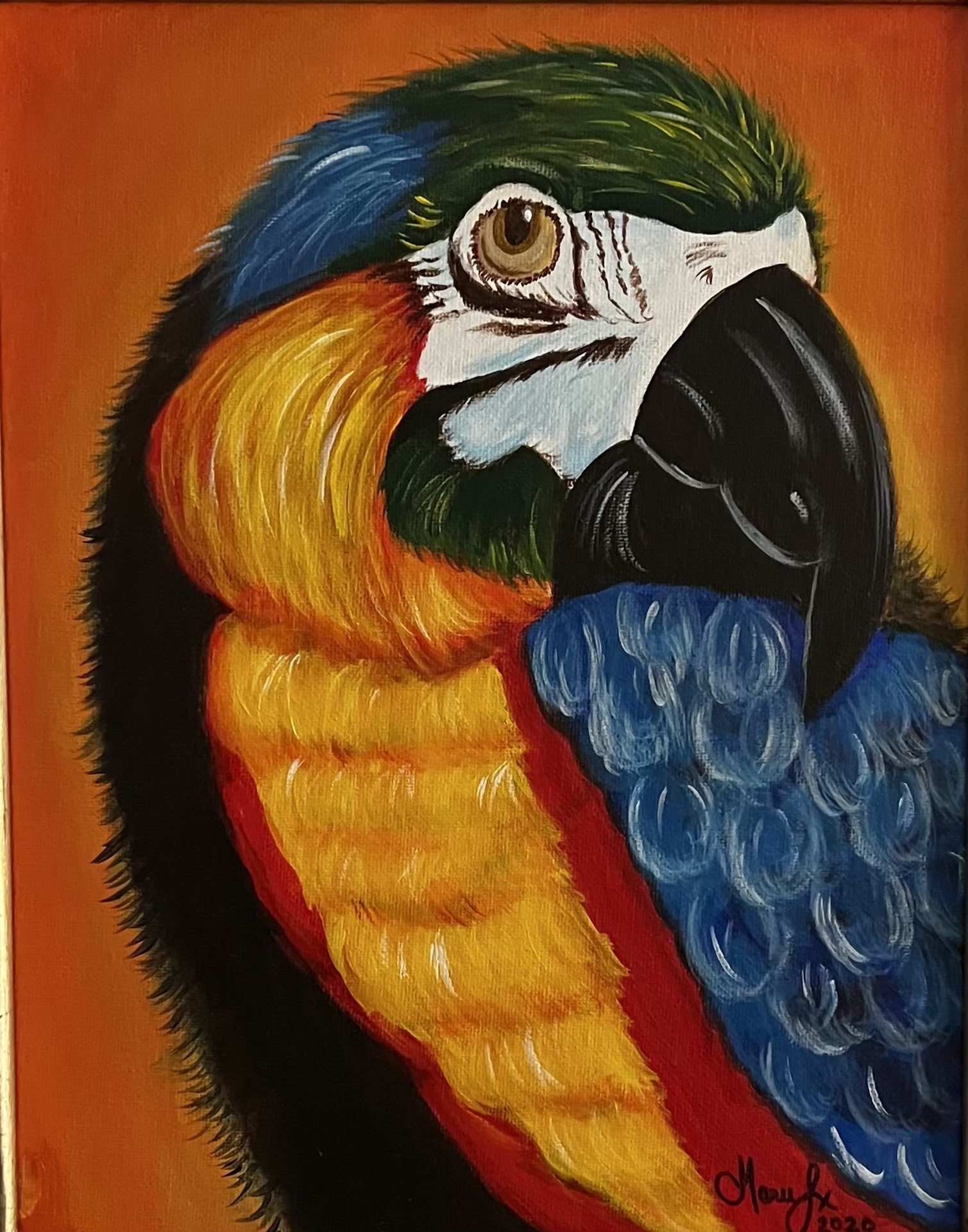 Parrot