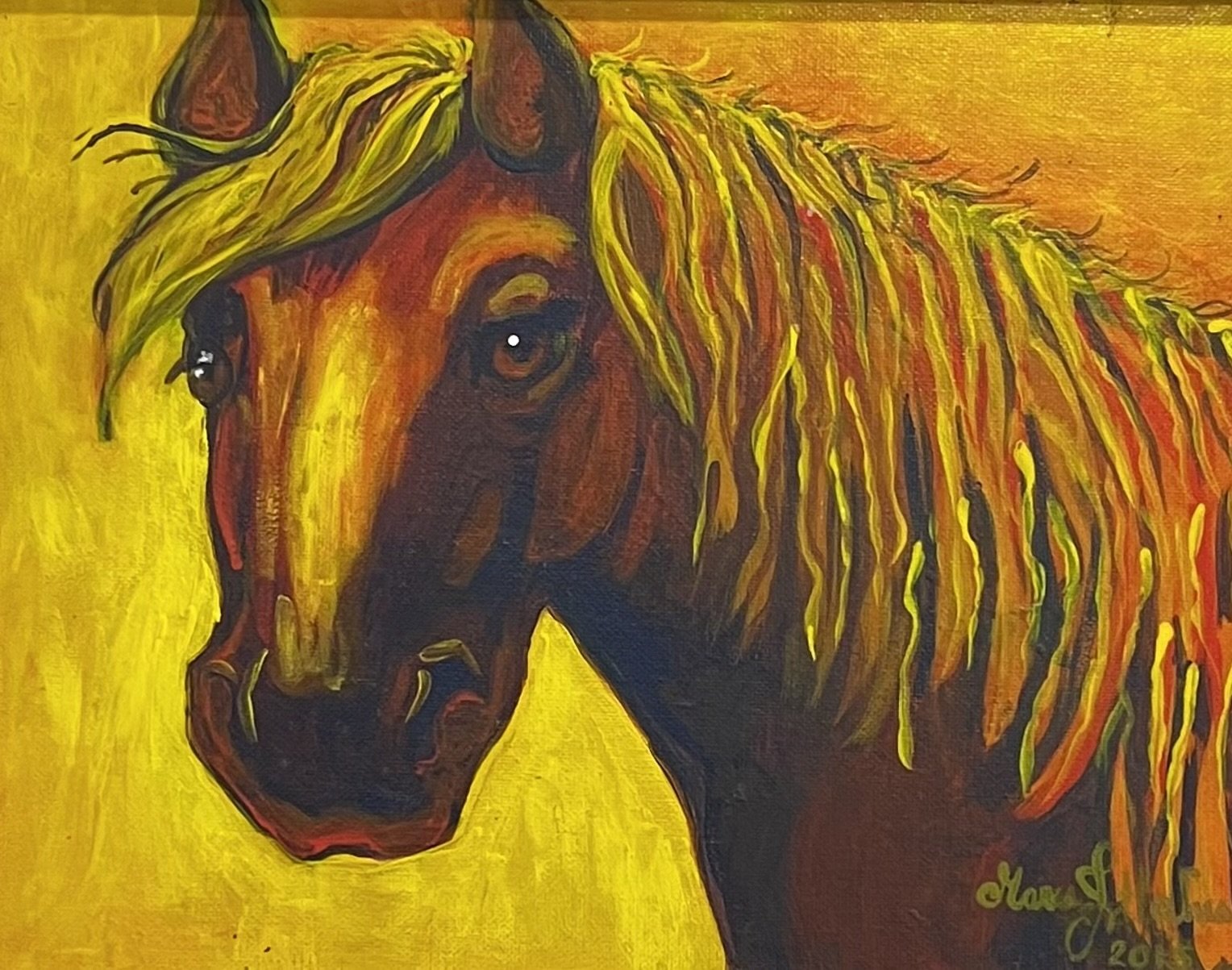 Western Horse