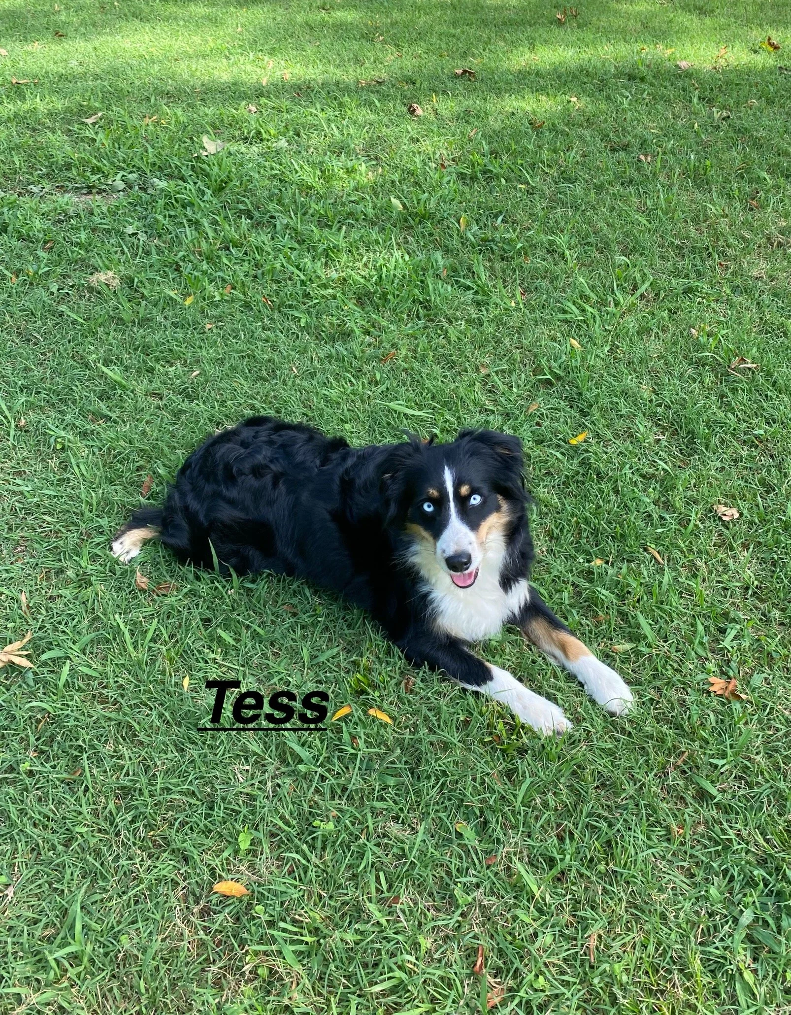 IMG_7766.jpeg