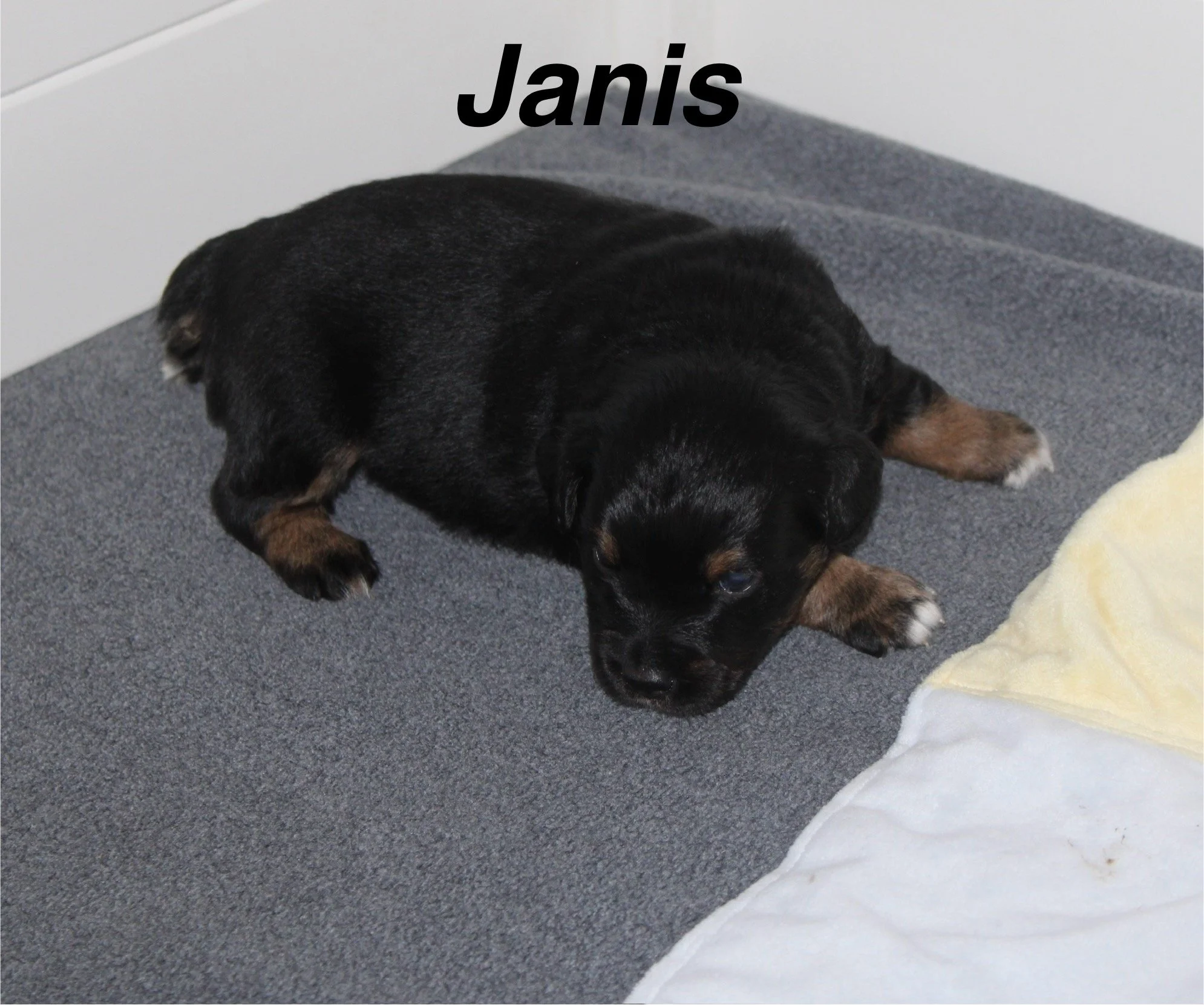 IMG_8719.jpeg