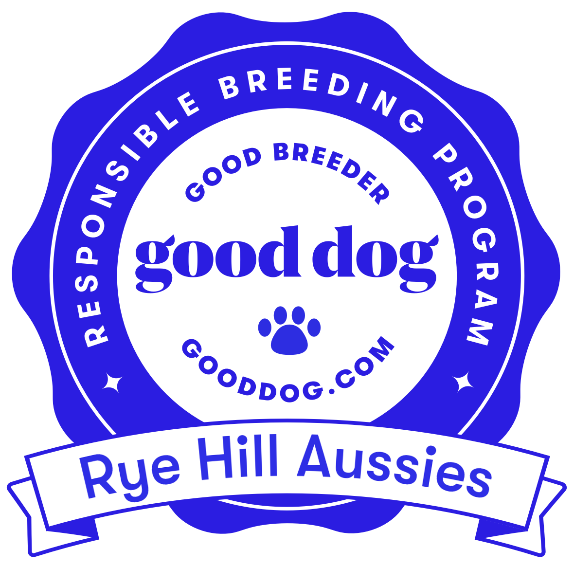 Rye Hill Aussies 