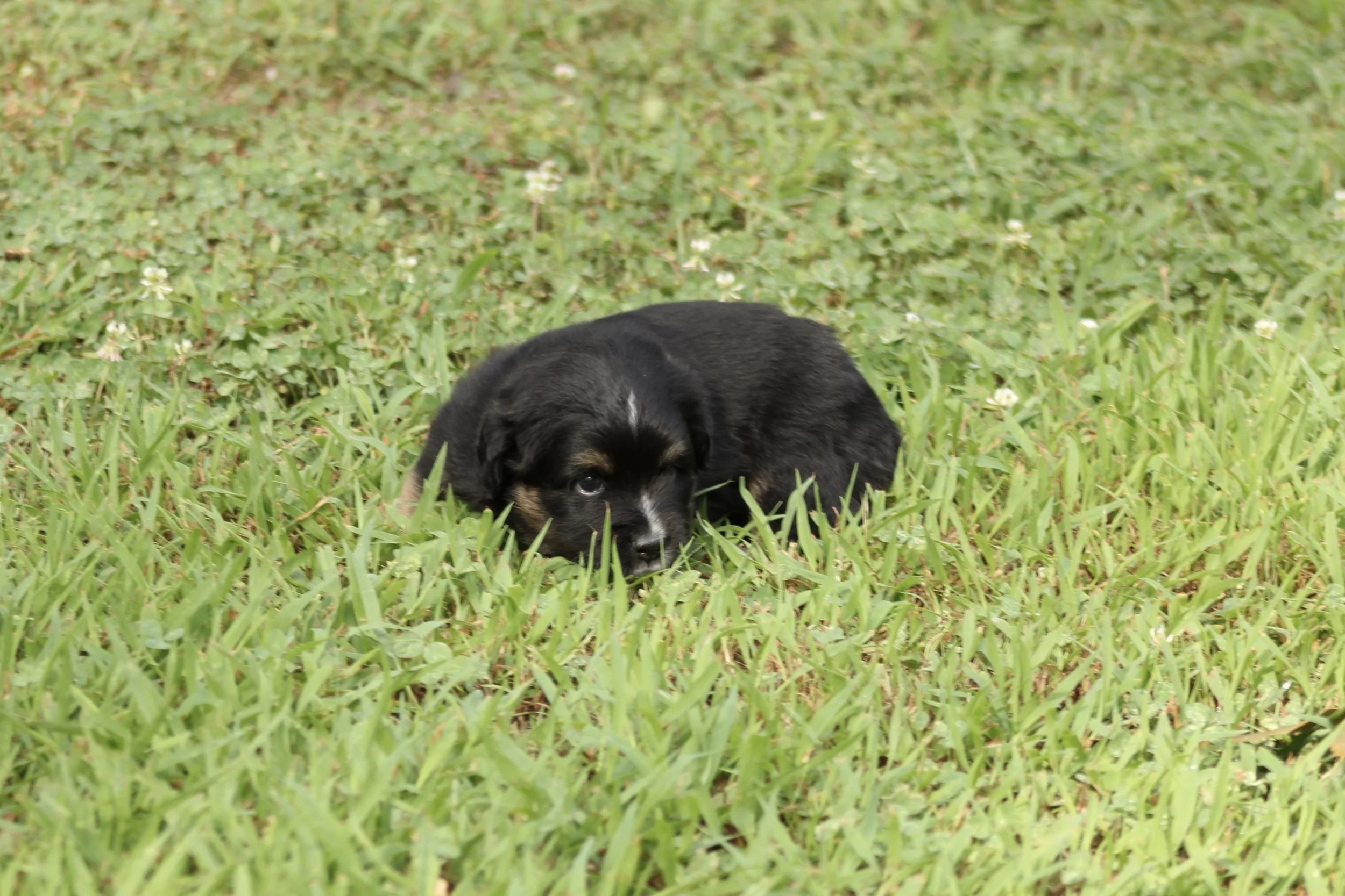 IMG_8791.jpeg