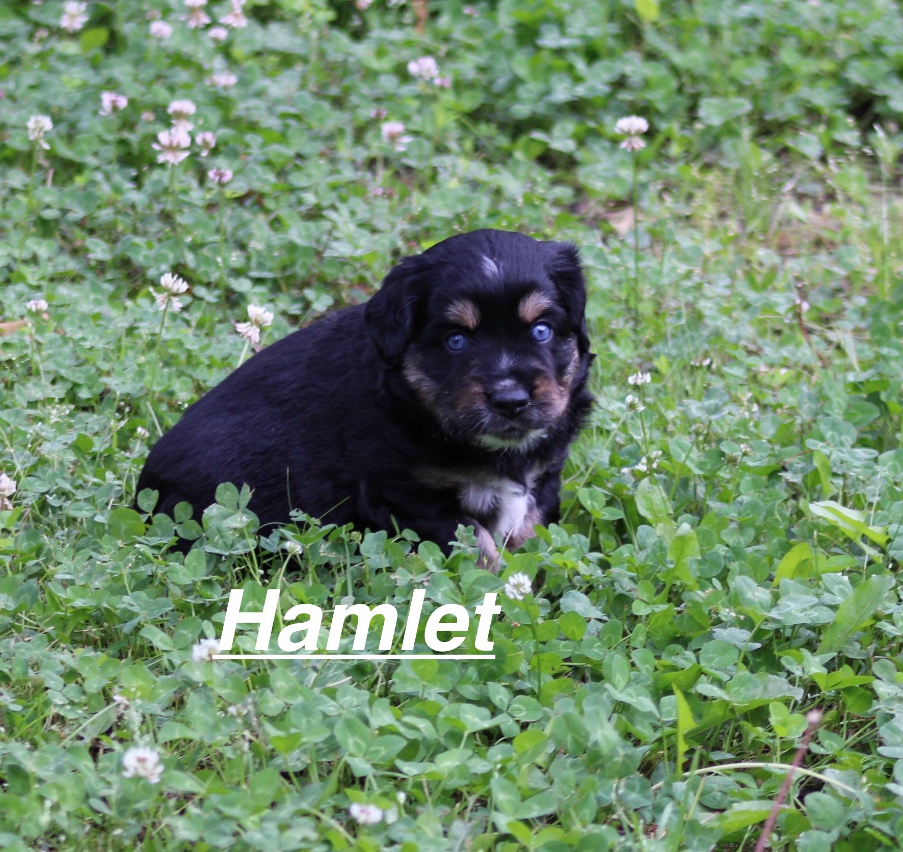 IMG_7719.jpeg
