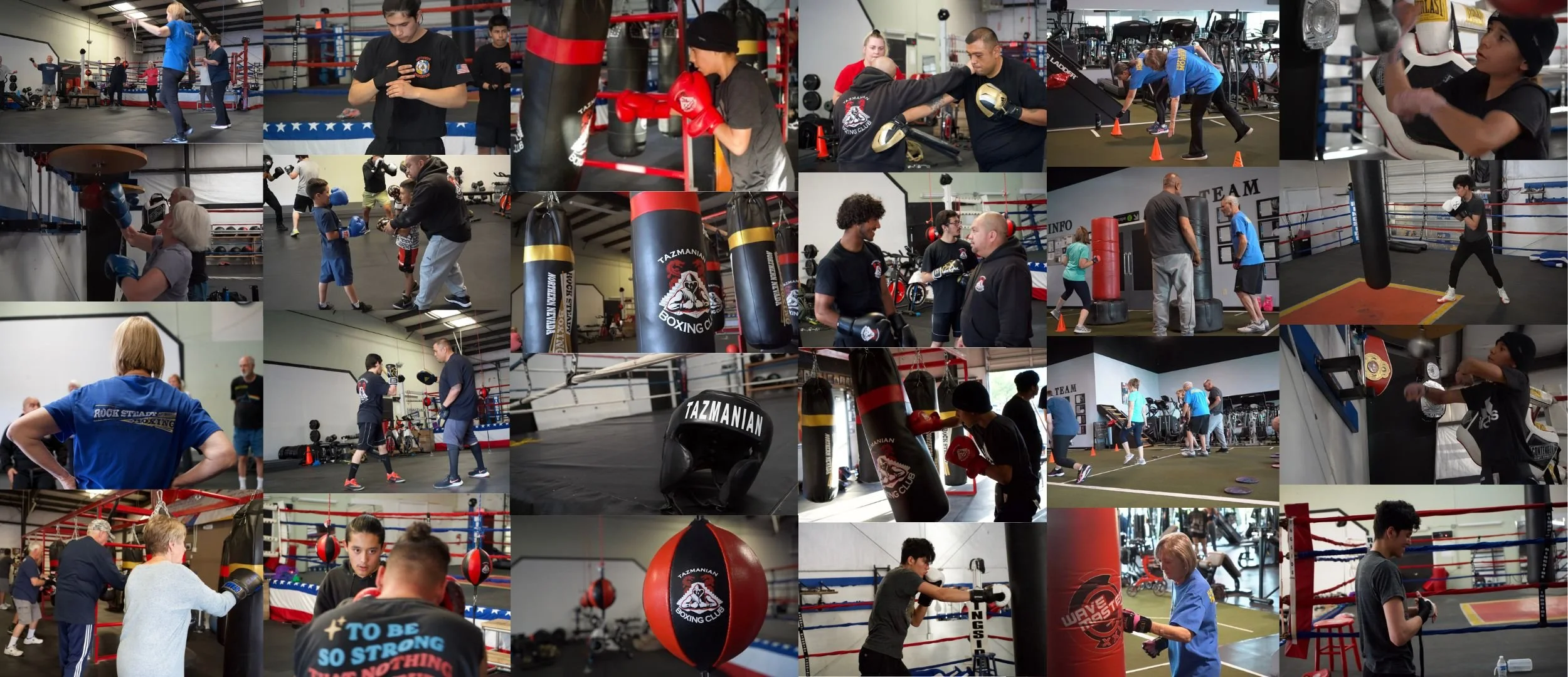 Tazmanian Boxing Club