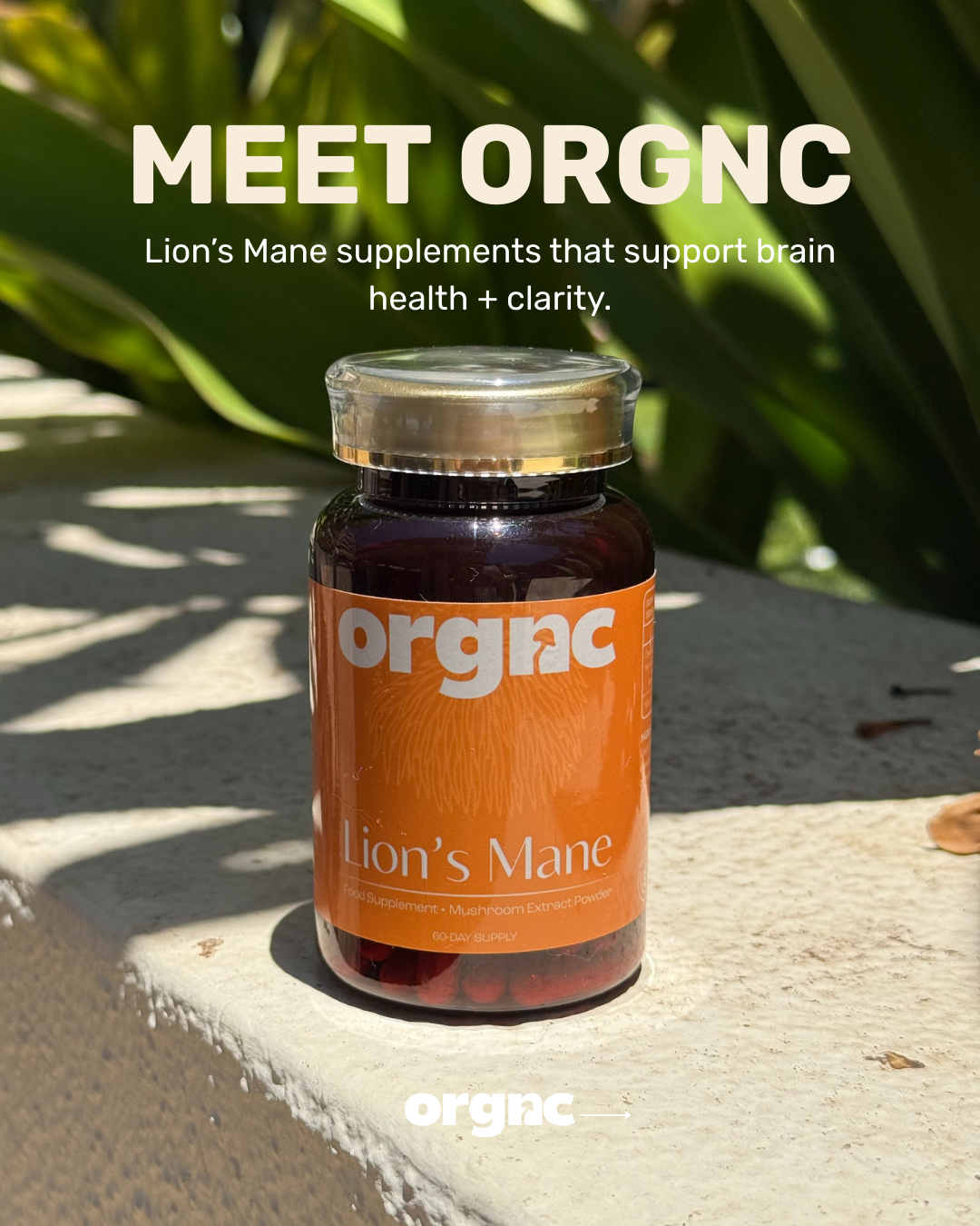 Creatively Katherine_Marketing Consultant and Social Media Strategist_orgnc Marketing Case Study