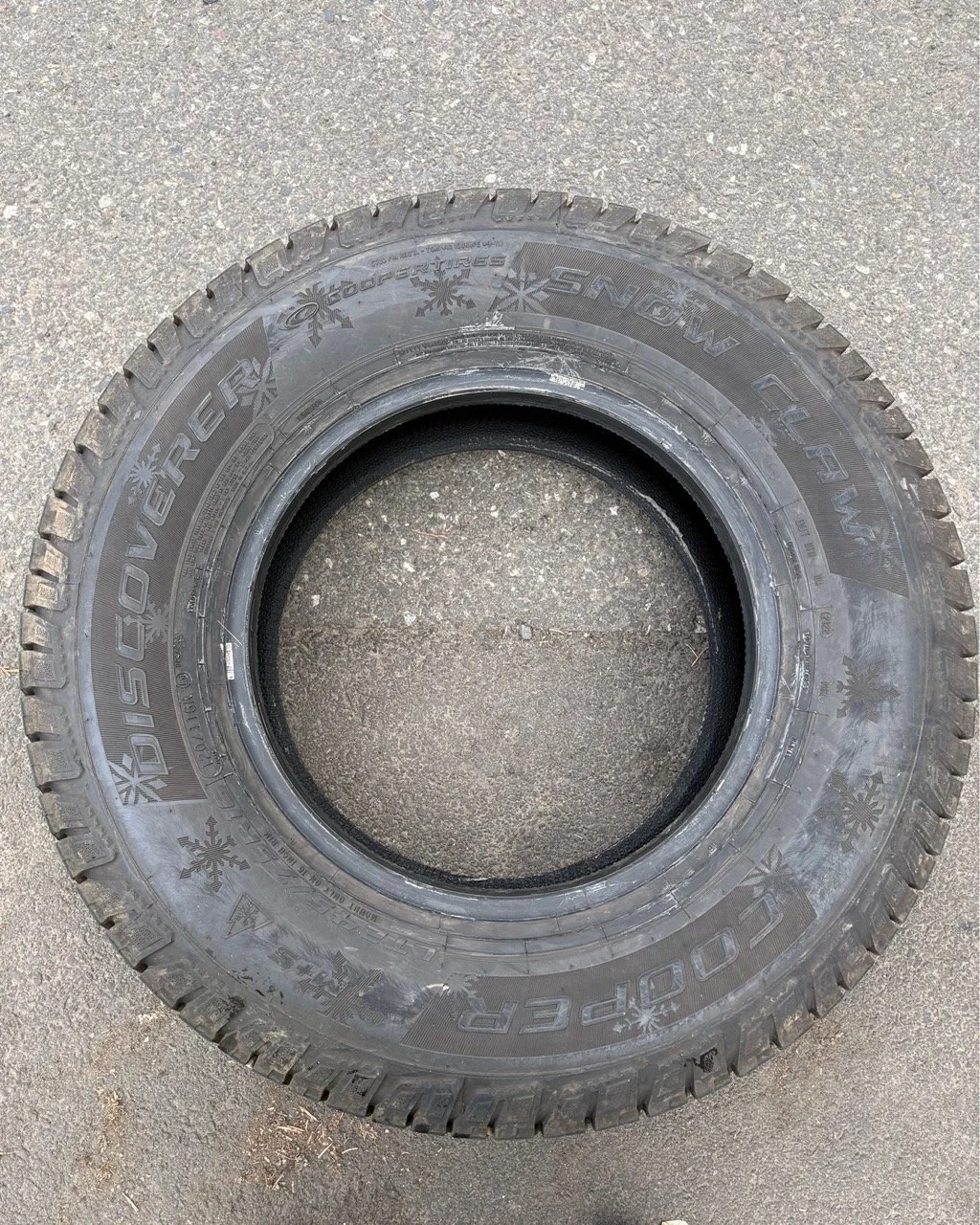 Untitled design Large.jpeg