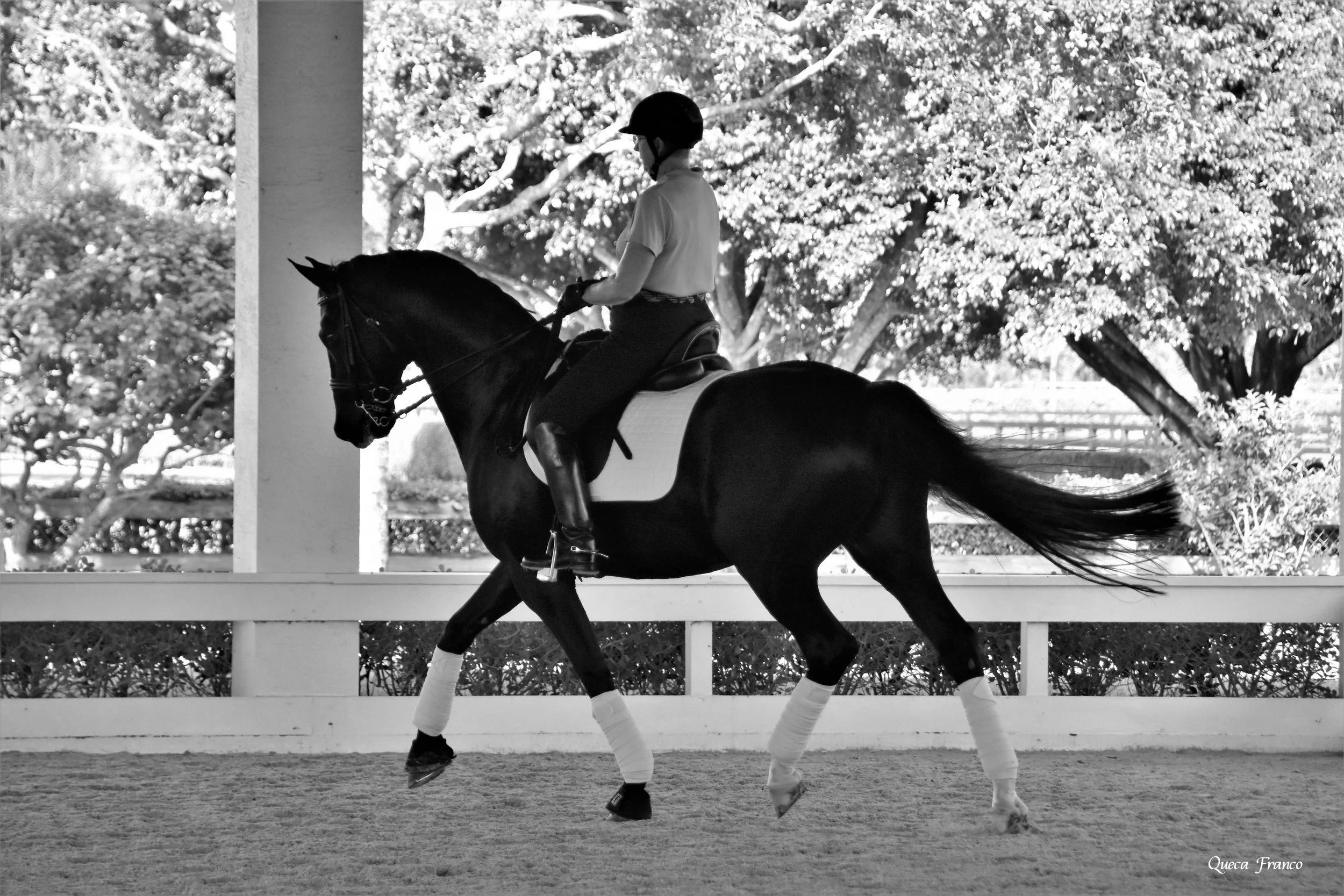 Margaret Sammy BW3.JPG