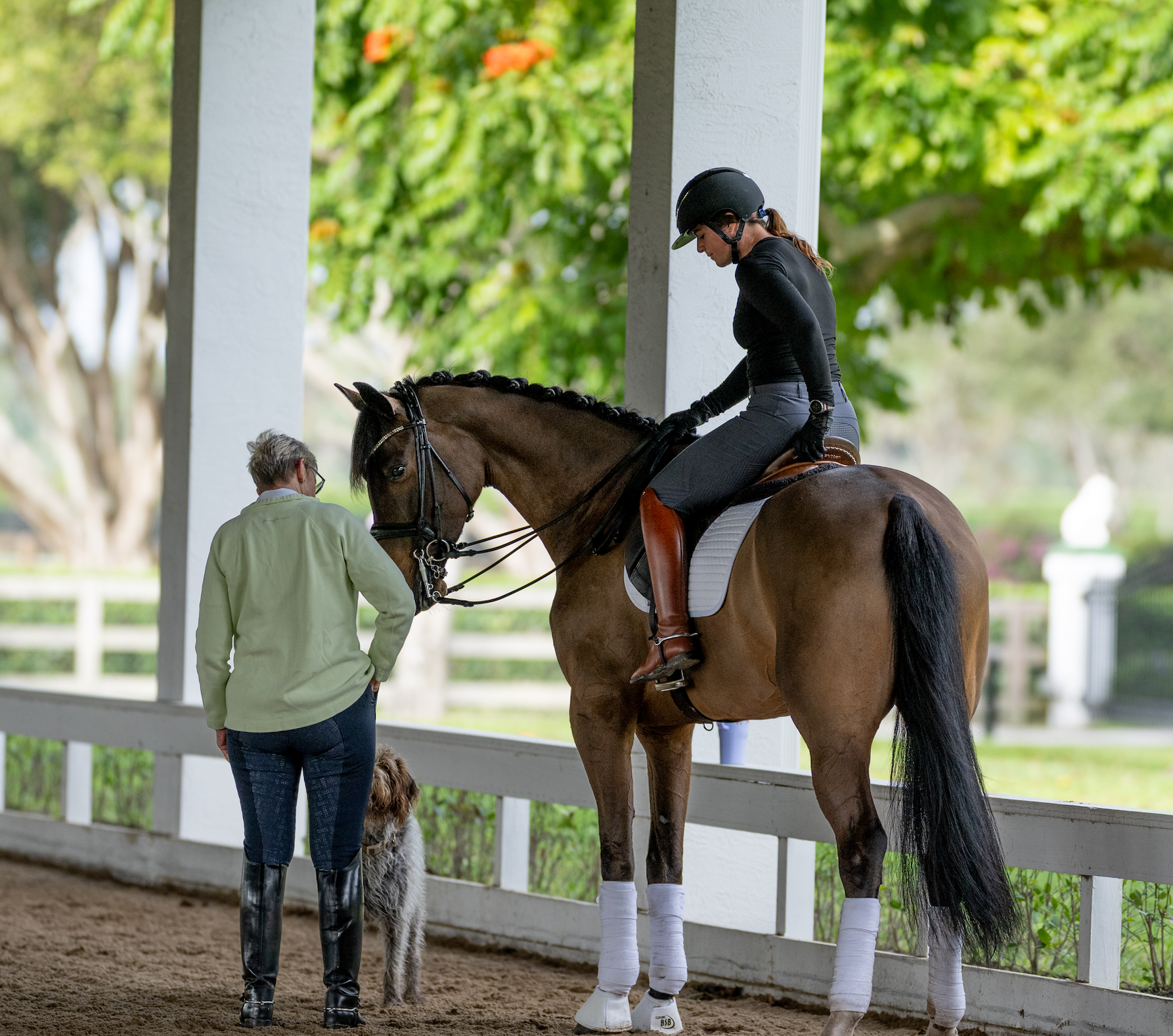 Screenshot 2026-02-25 at 09.38.11.png