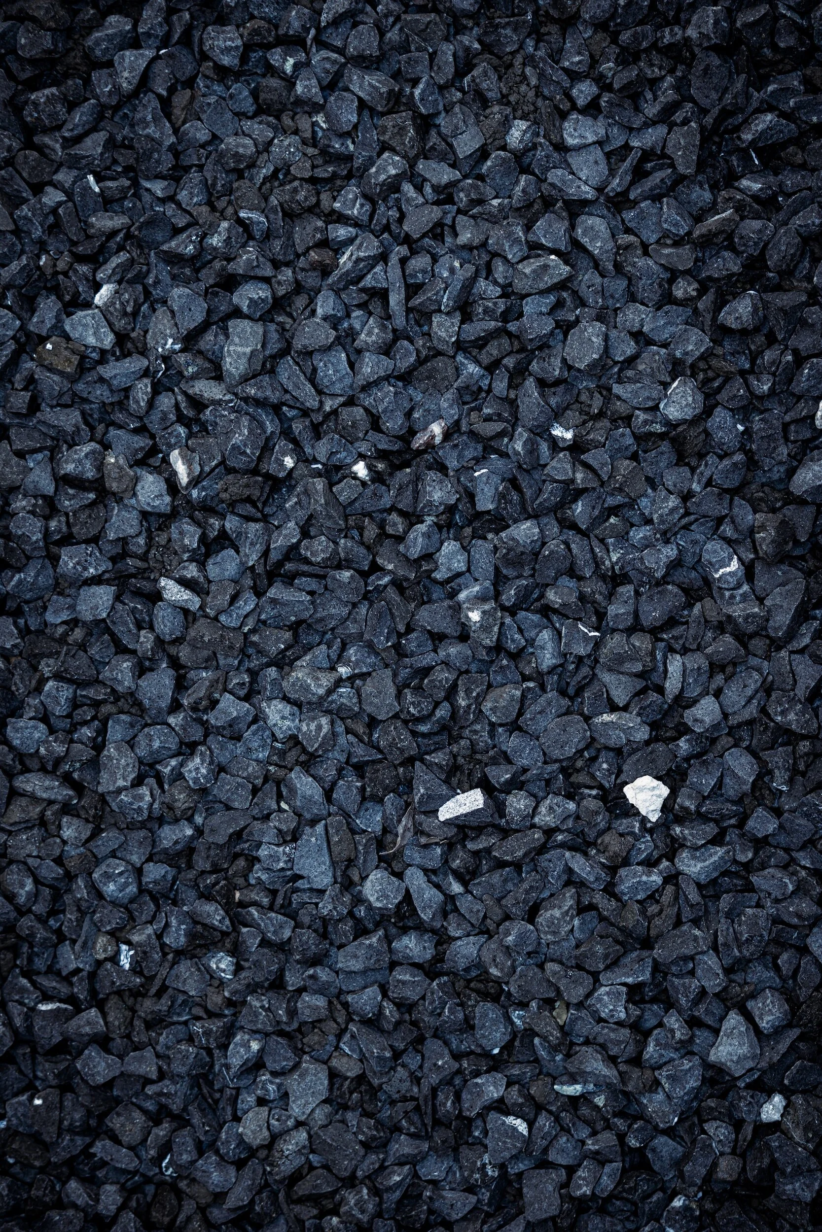 Coal