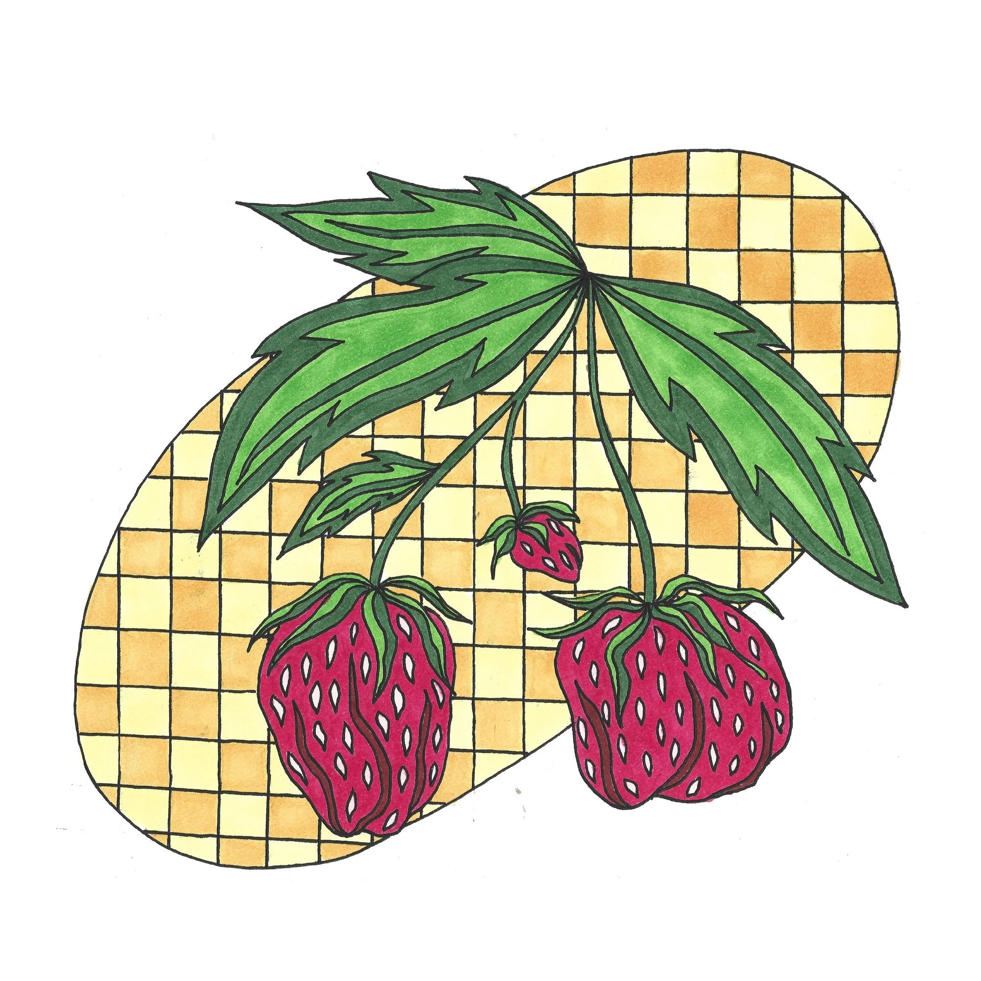 strawberry card.jpg