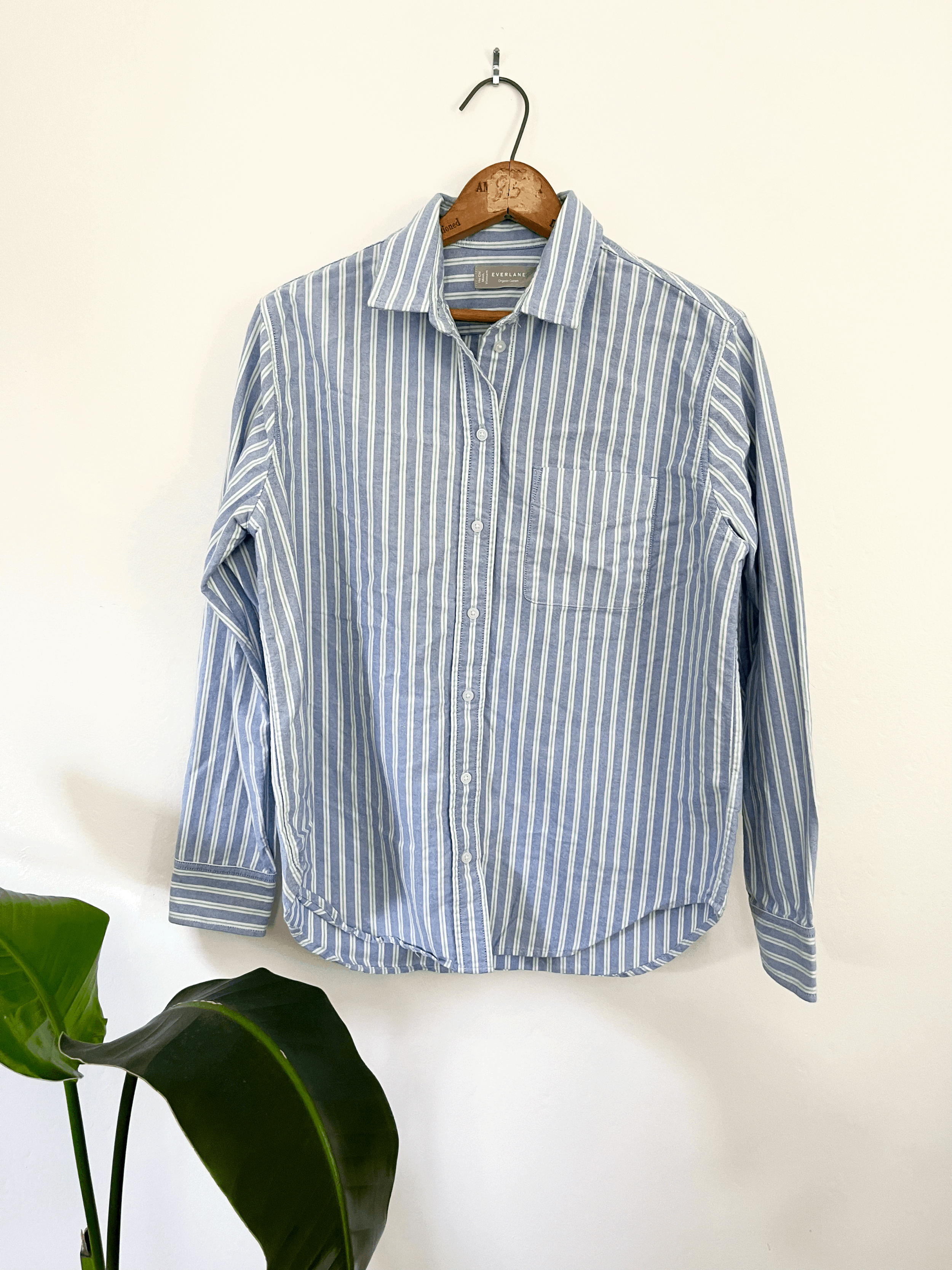 Everlane Pinstripe Button Up