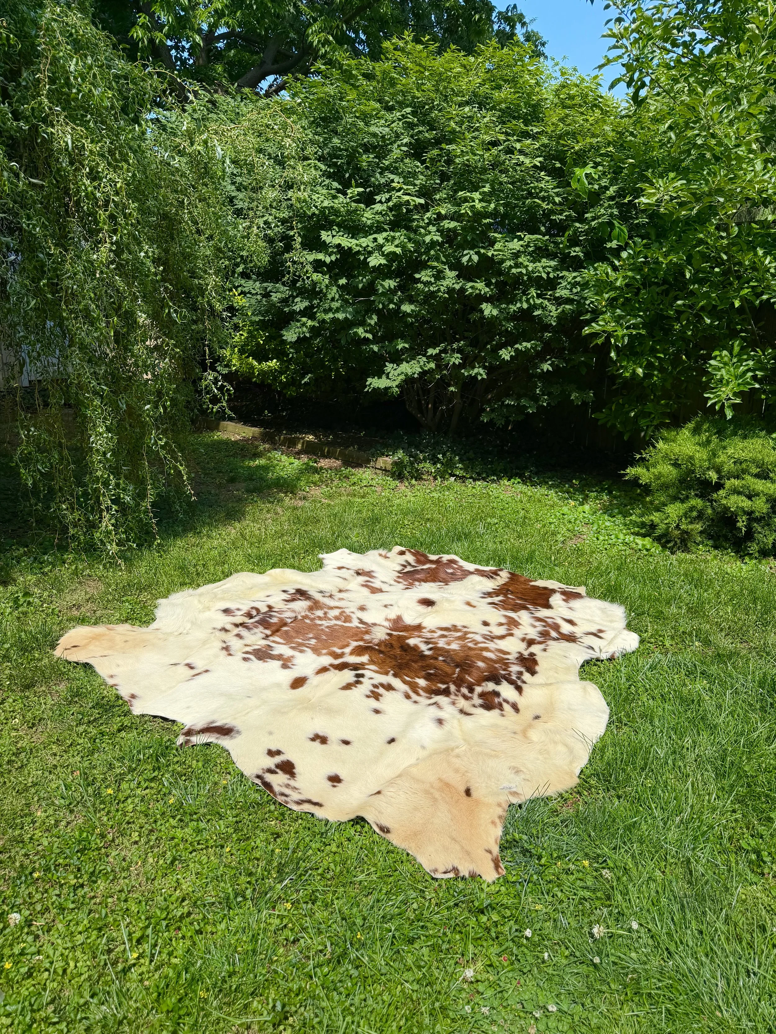 White and brown Cowhide Rug 6'x6.5'