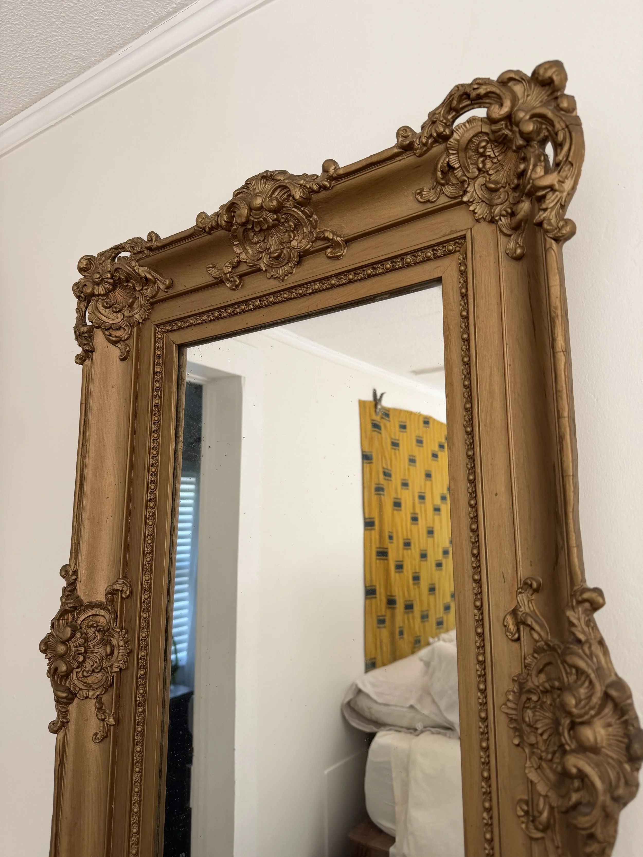 IMG_8107.jpeg
