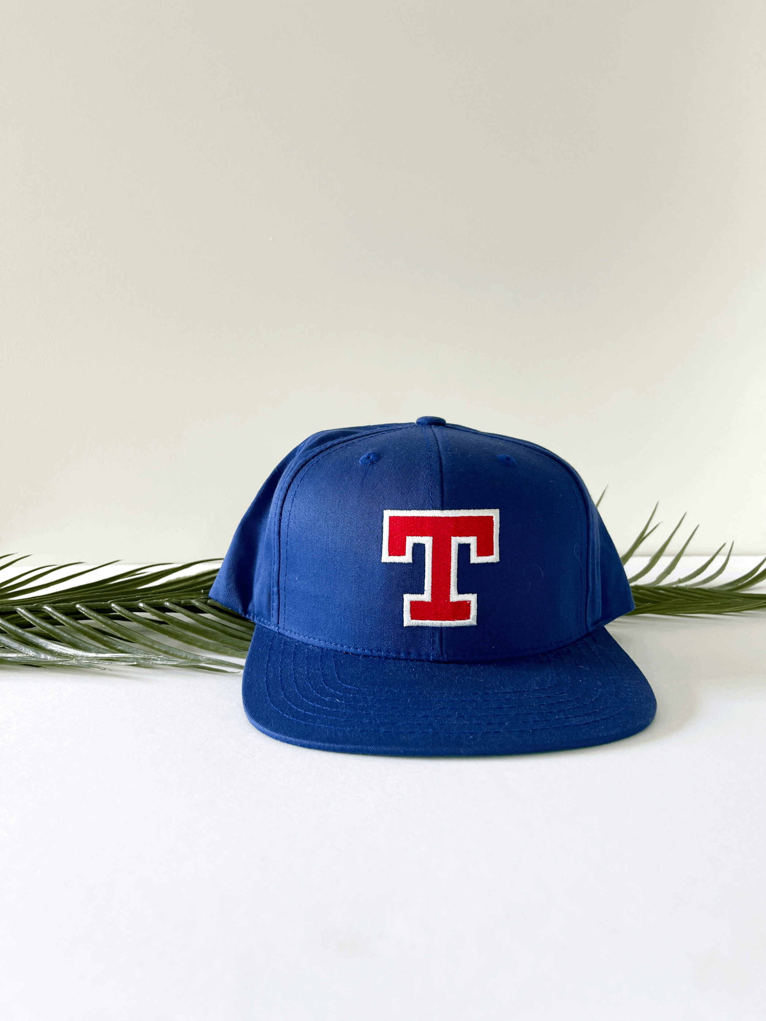 Texas Rangers Hat