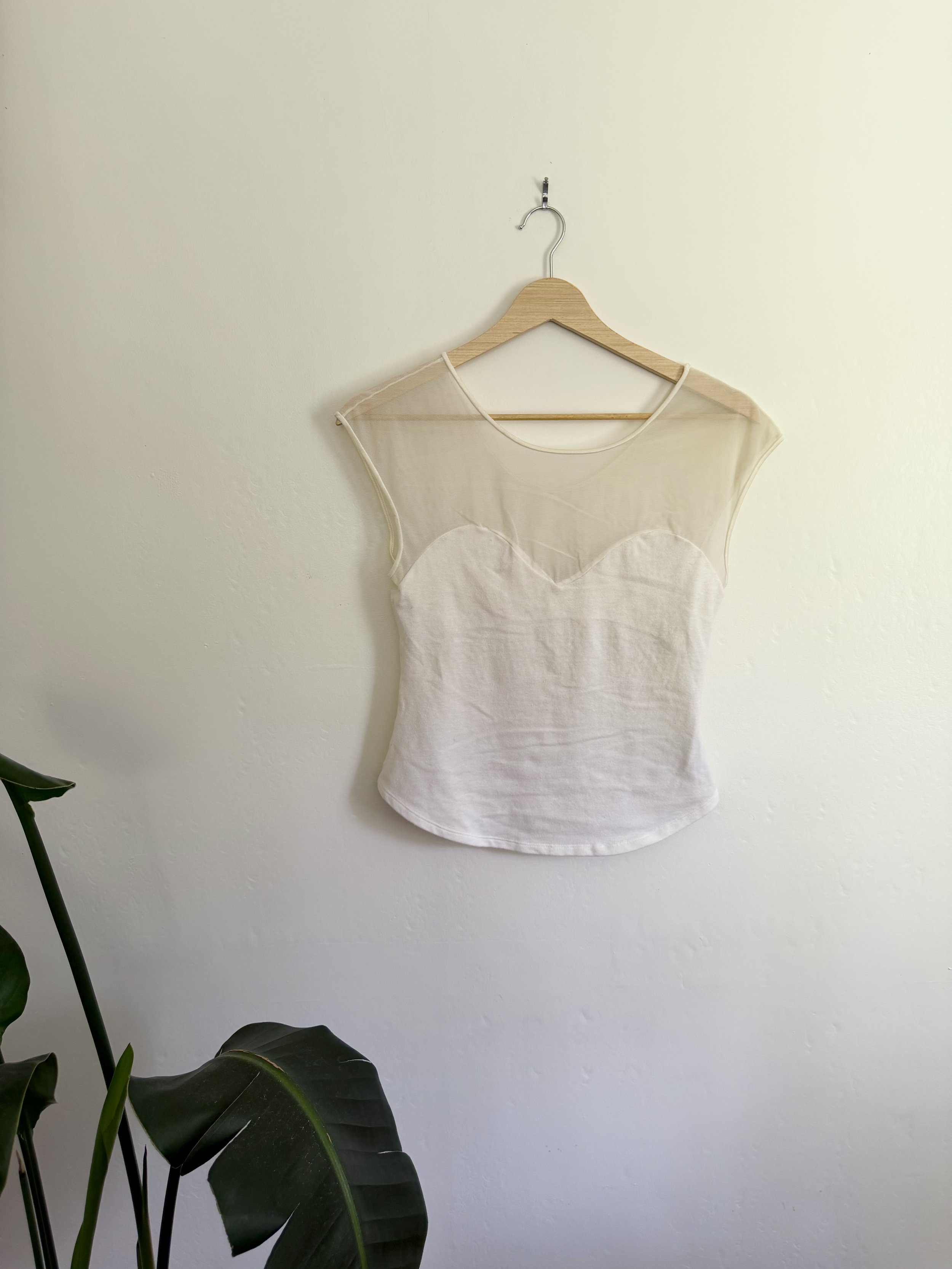 Sweetheart Mesh Fitted Blouse