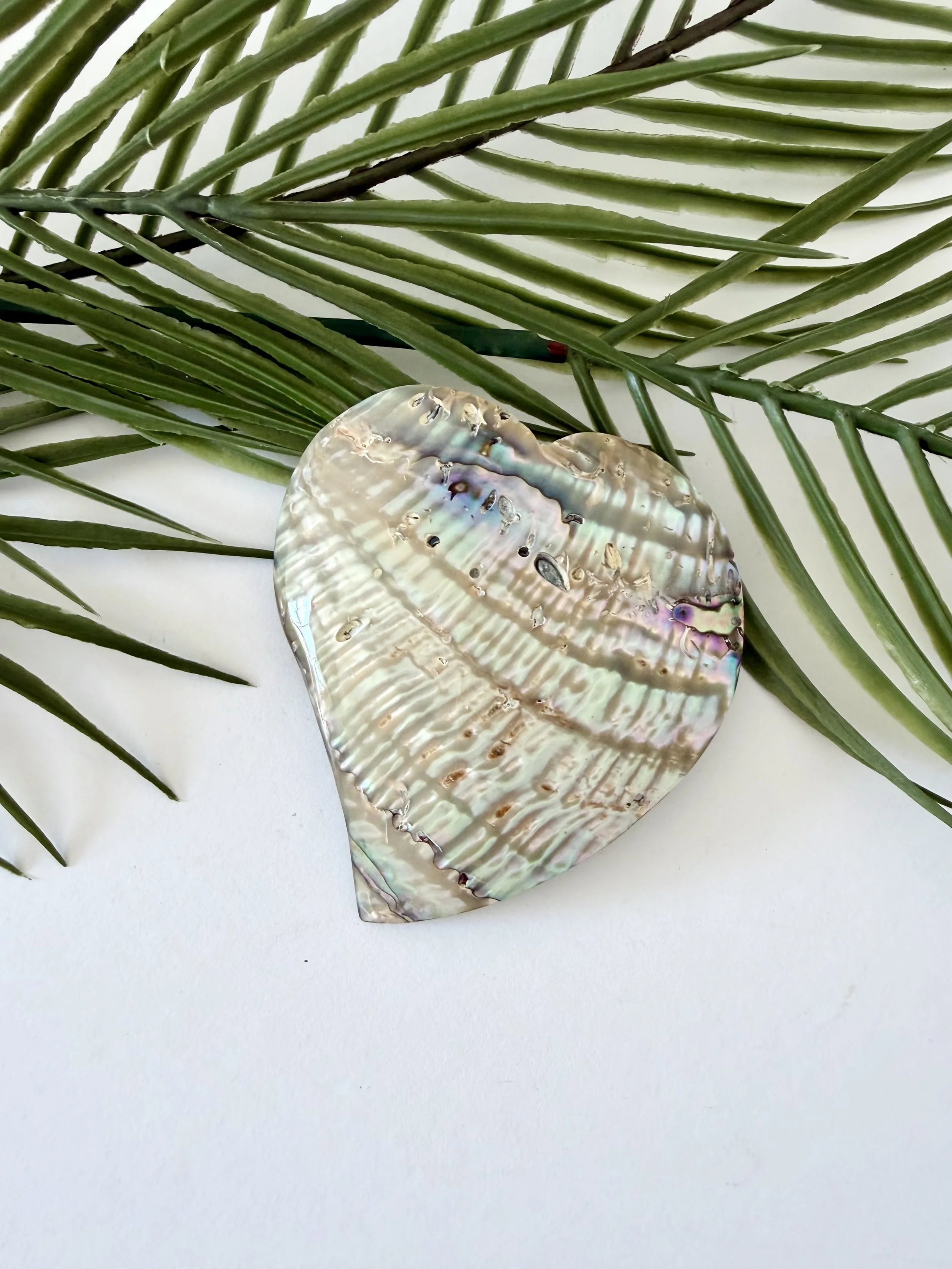 Abalone Shell Heart Belt Buckle