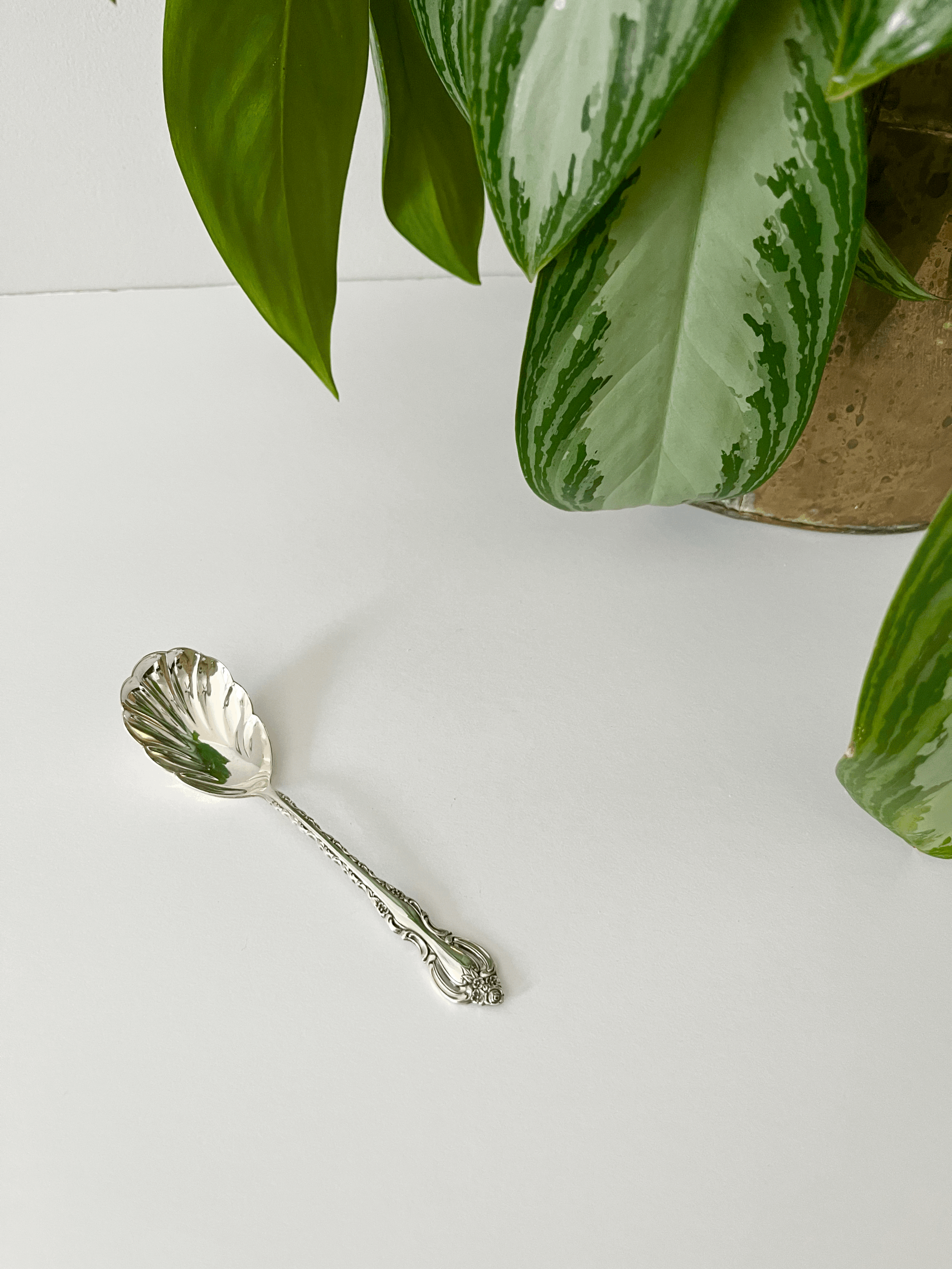 International Silver Sugar Spoon