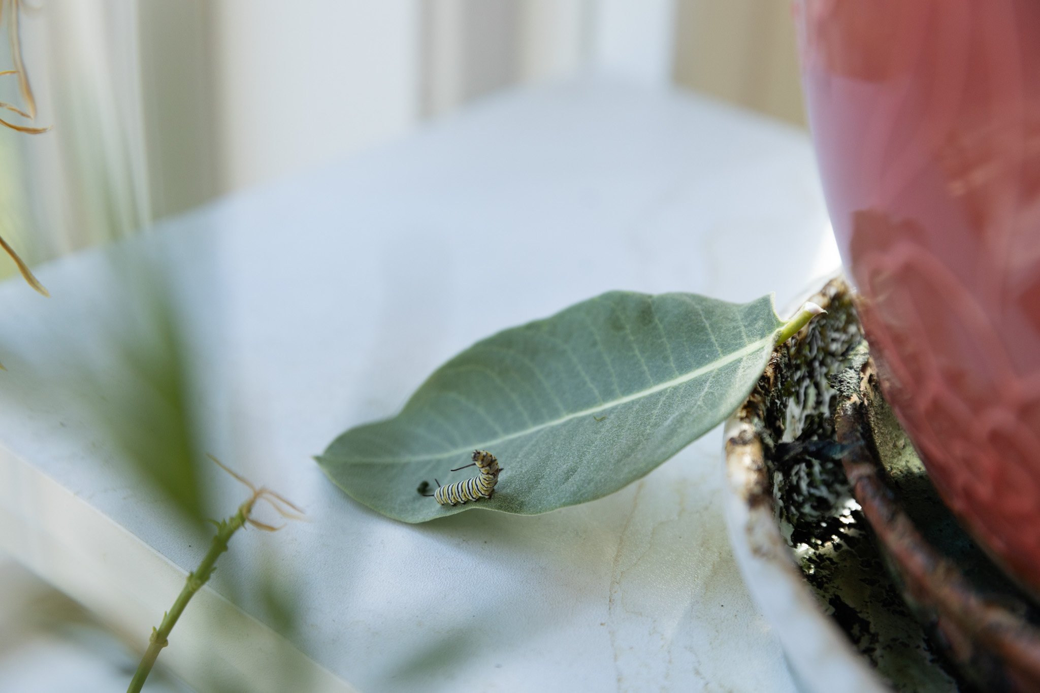 Instagram Sept-53.jpg