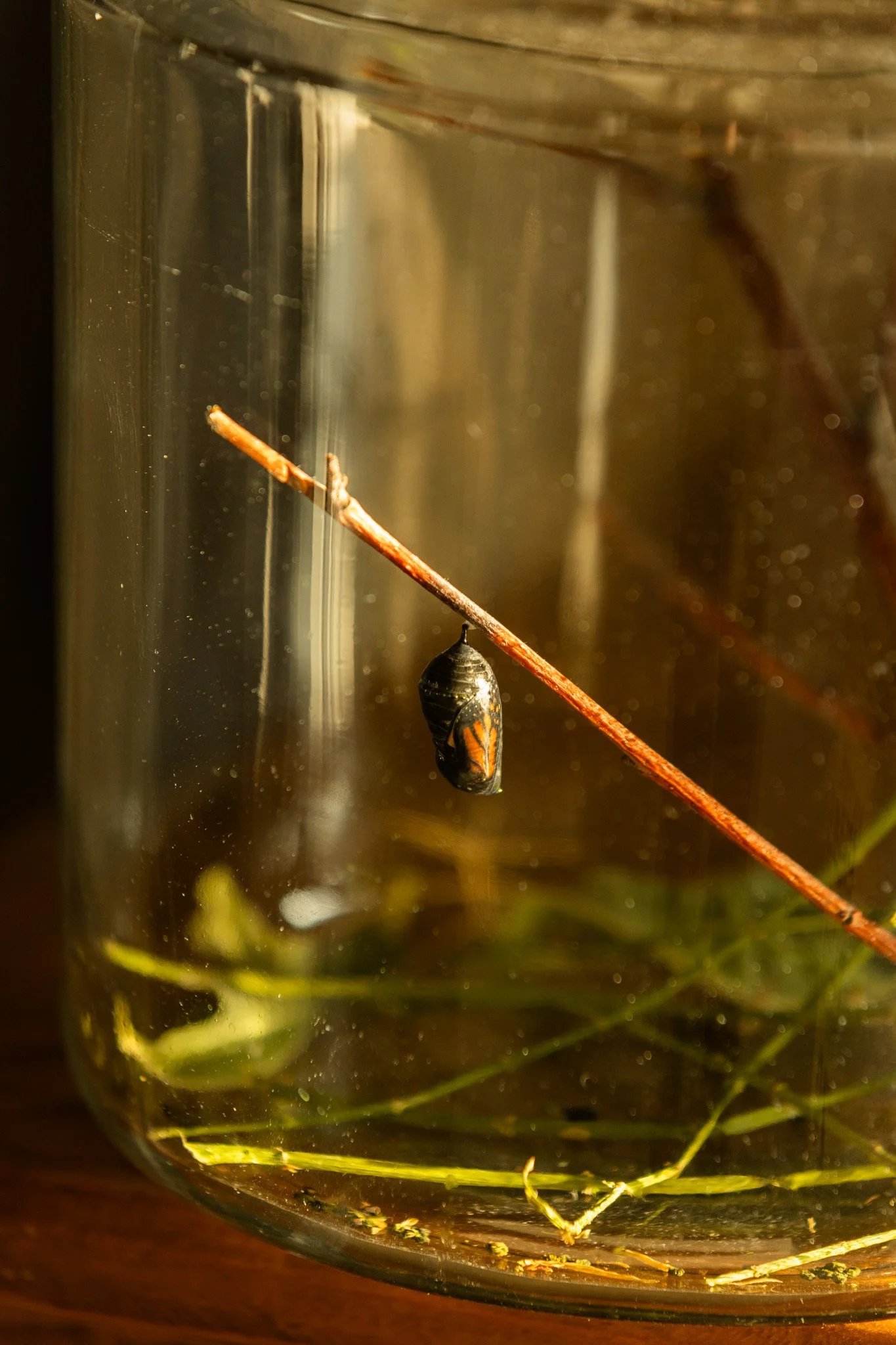 Instagram Sept-093.jpg