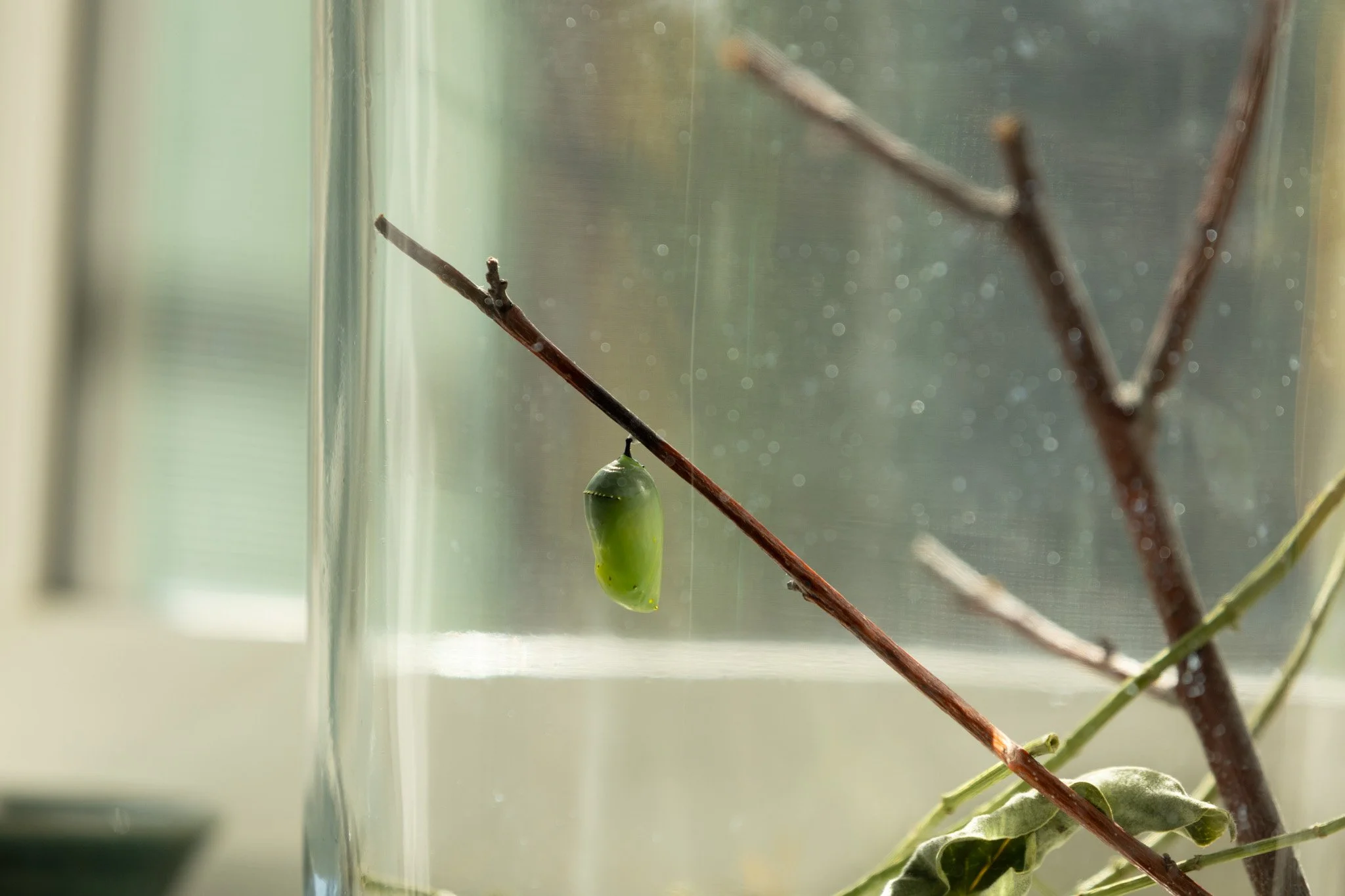 Instagram Sept-52.jpg