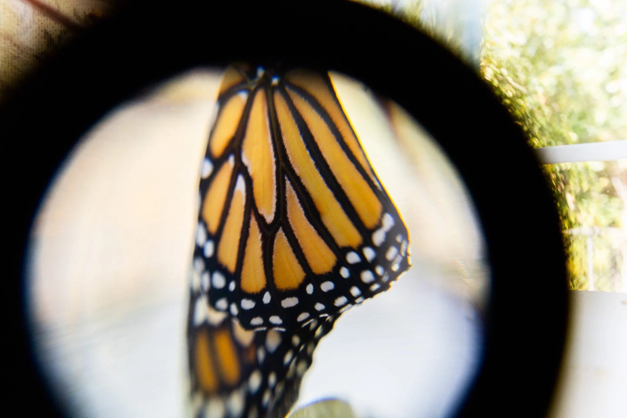 Instagram Sept-90.jpg