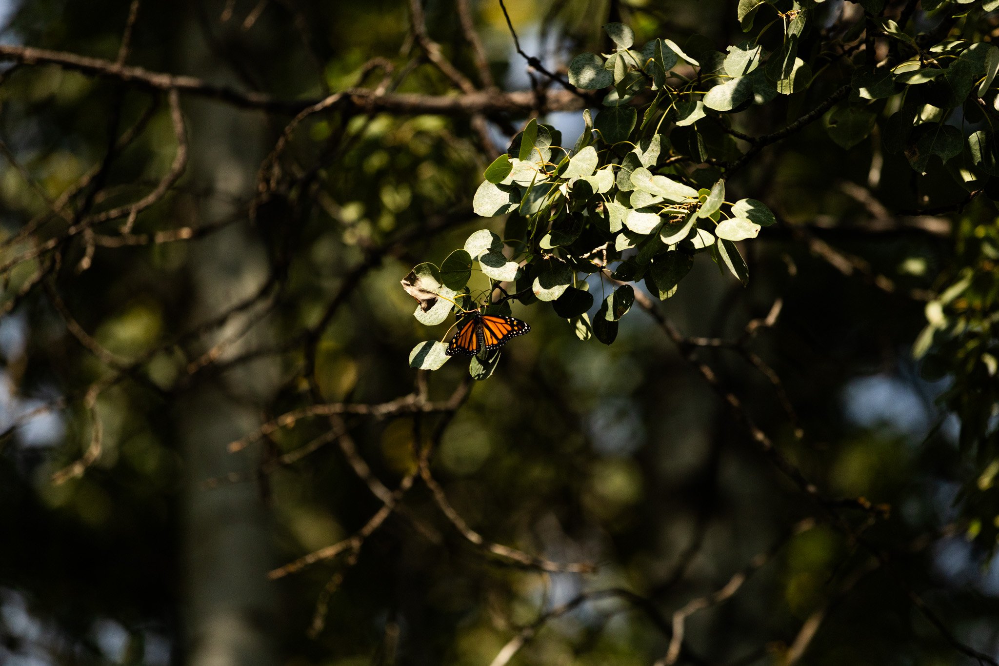 Instagram Sept-89.jpg