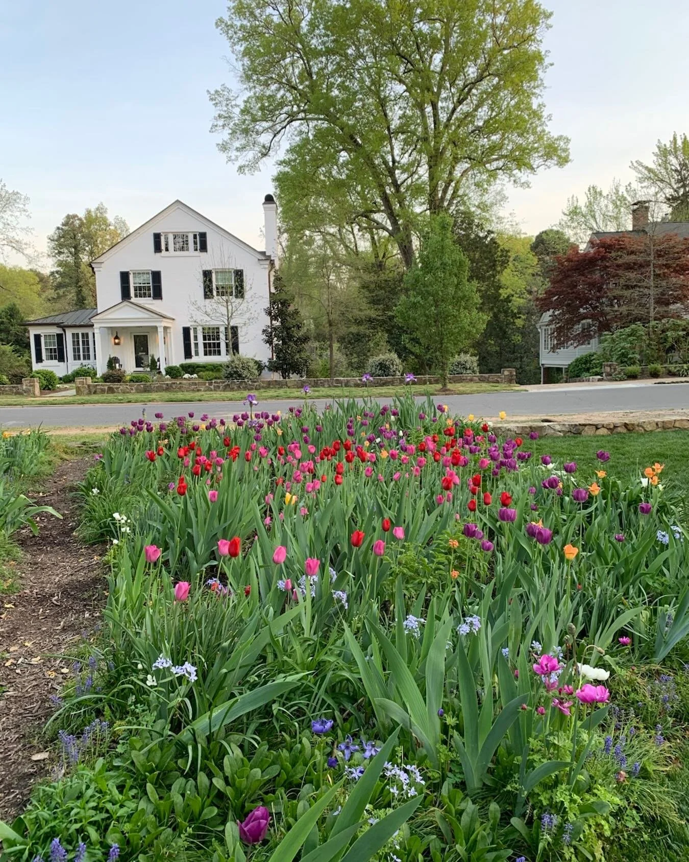 He is risen 🤍 happy Easter! 

#lilypaddesignco