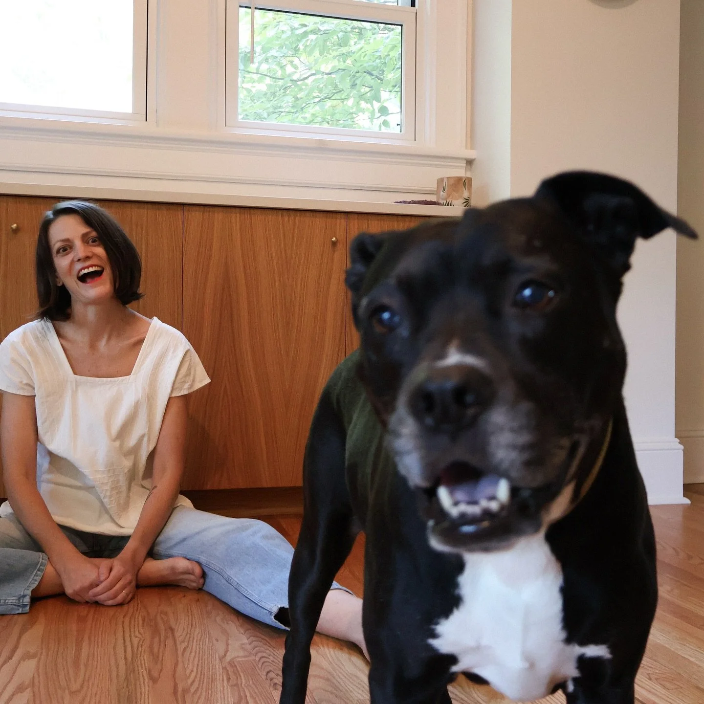 My sweet Lou is 10! She&rsquo;s the best girl, so if you see her around, give her a good scratch and tell her she&rsquo;s perfect! 

📷: @savannahdevore