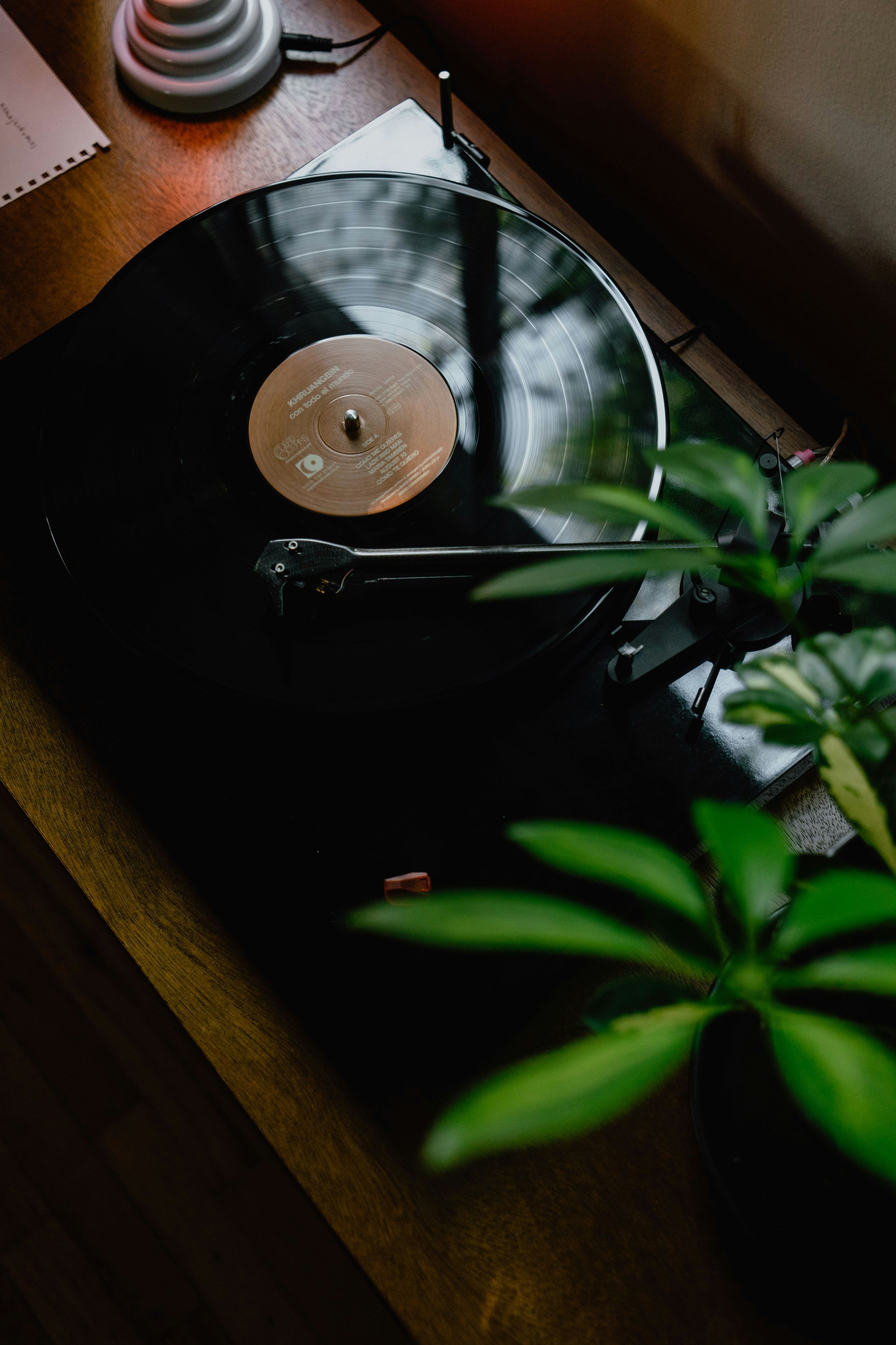 kevin-mccutcheon-TcSckNRL9J8-unsplash.jpg