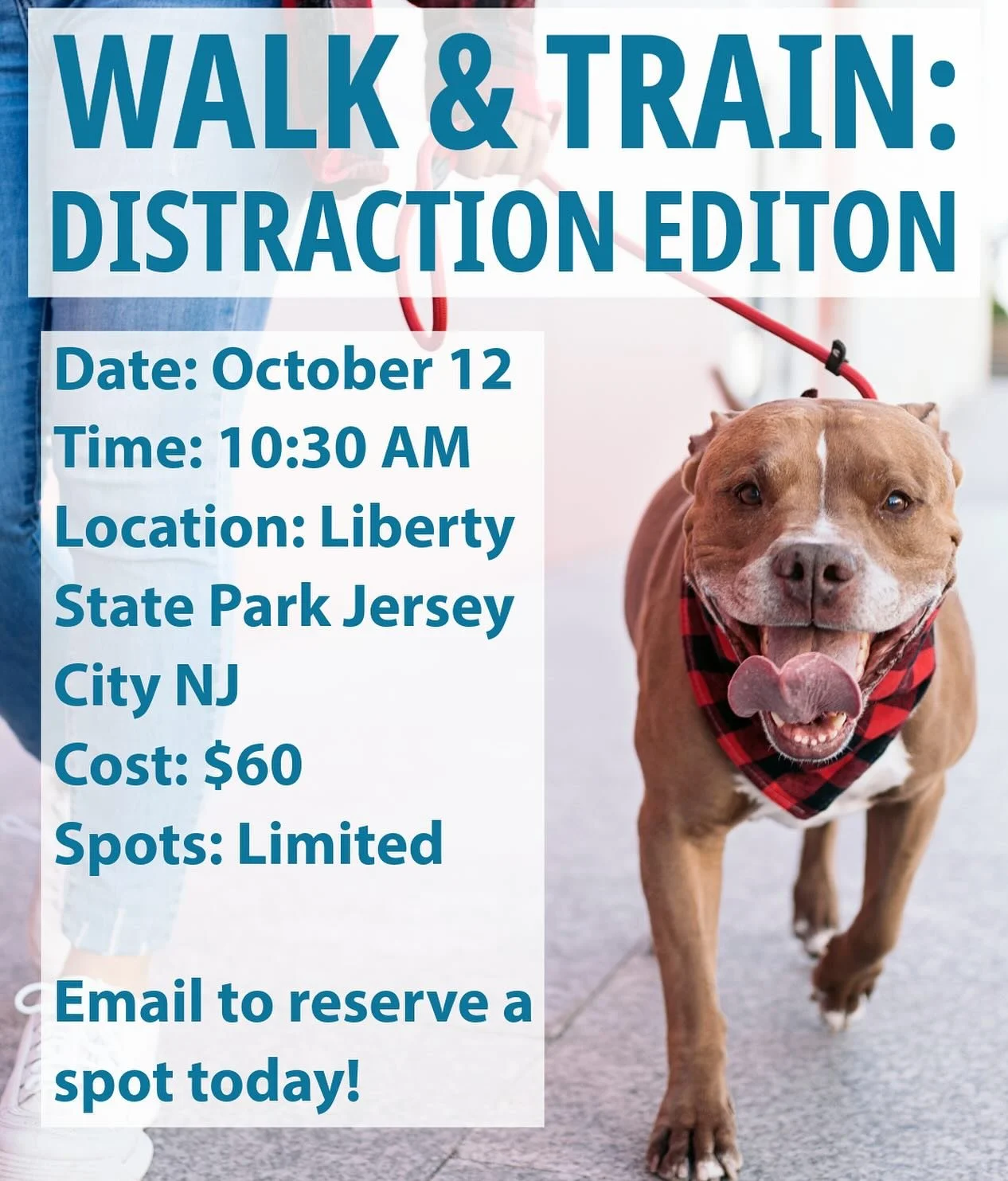 Does your dog walk nicely until there are other dogs or distractions? 

Sign up for our Walk &amp; Train: Distraction Edition. This is a structured, trainer-led practice walk designed to sharpen your loose leash skills in the real world. We&rsquo;ll 
