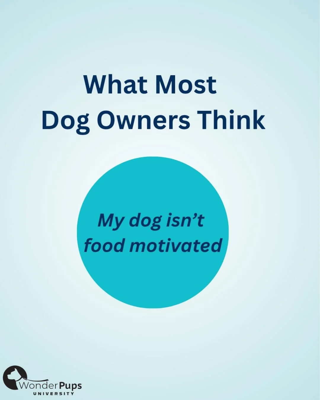 Your dog not taking food doesn&rsquo;t automatically mean they aren&rsquo;t food motivated. 
In a lot of cases, it means they&rsquo;re stressed or overwhelmed. When a dog goes over threshold, their brain shifts into survival mode. And in that state, 