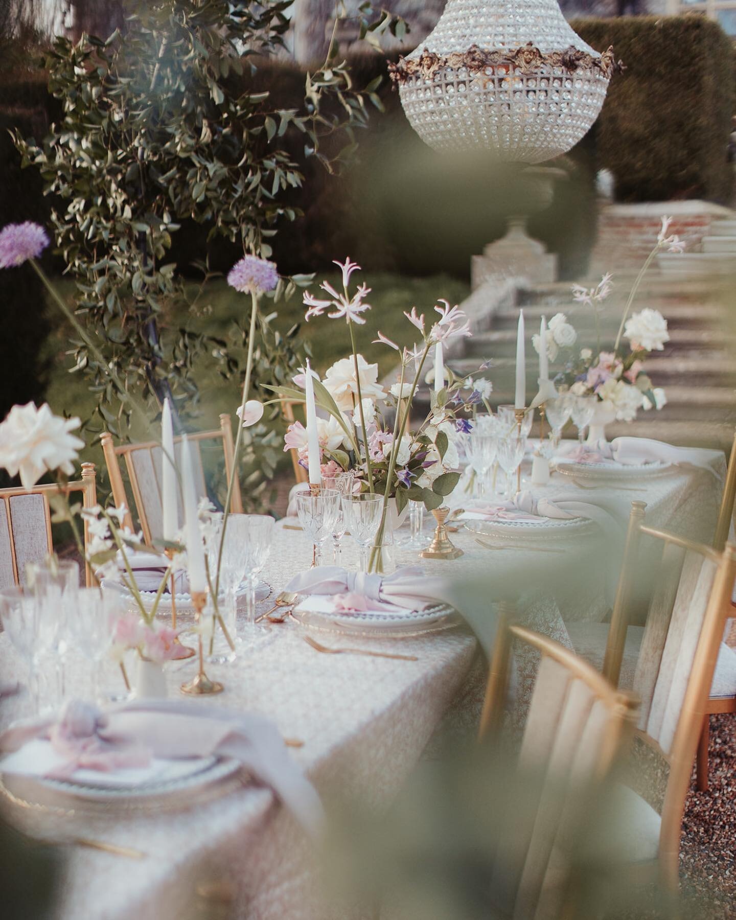 Intimate dining amongst dreamy Spring florals 🌷💫

With rambling foliage climbing to stunning chandeliers twinkling above, and an array of pastel florals across the table 🌸 

A beautiful setting to celebrate your love with those closest to you 💫

