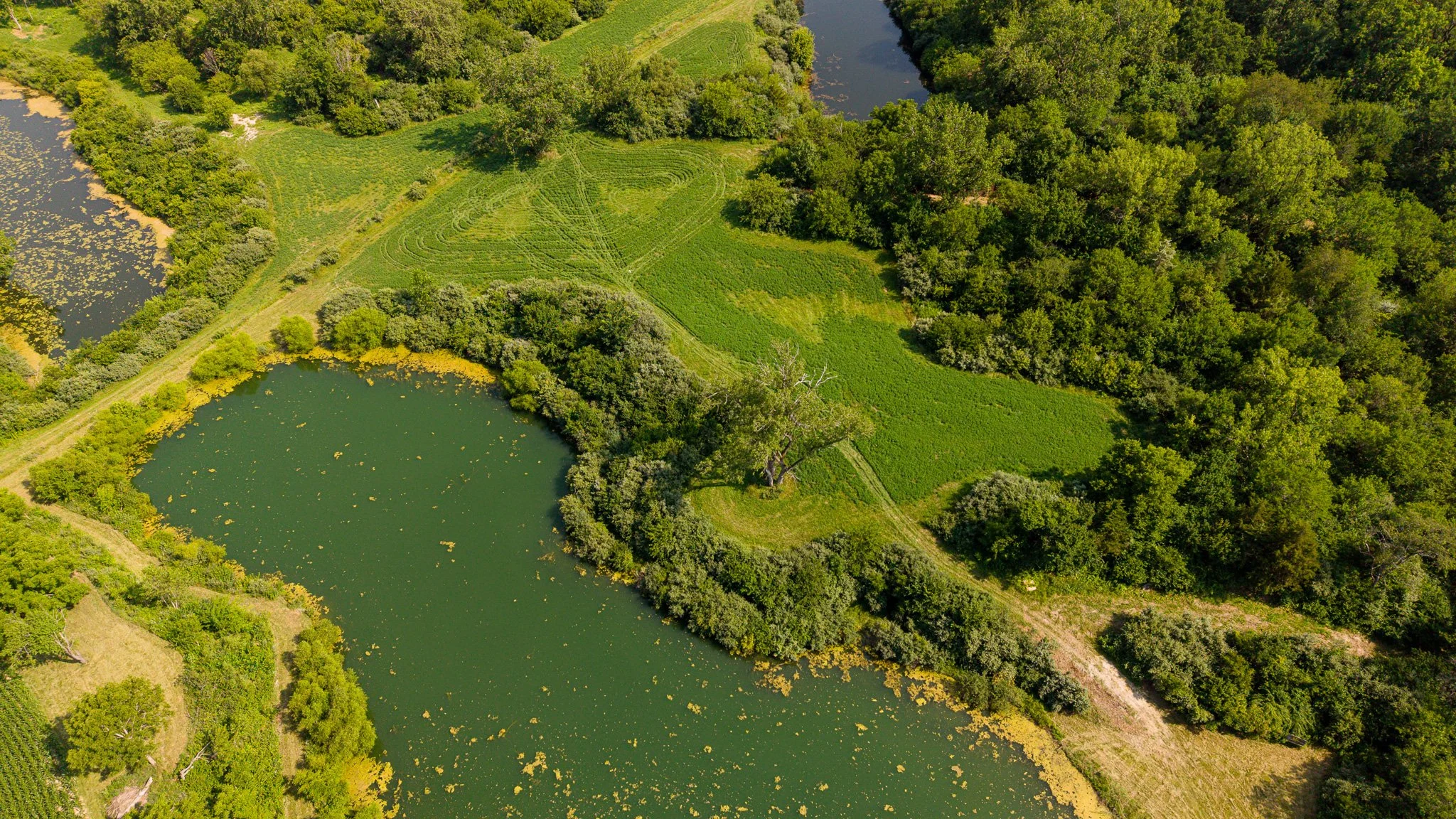 DJI_20260715051836_0067_D.jpg