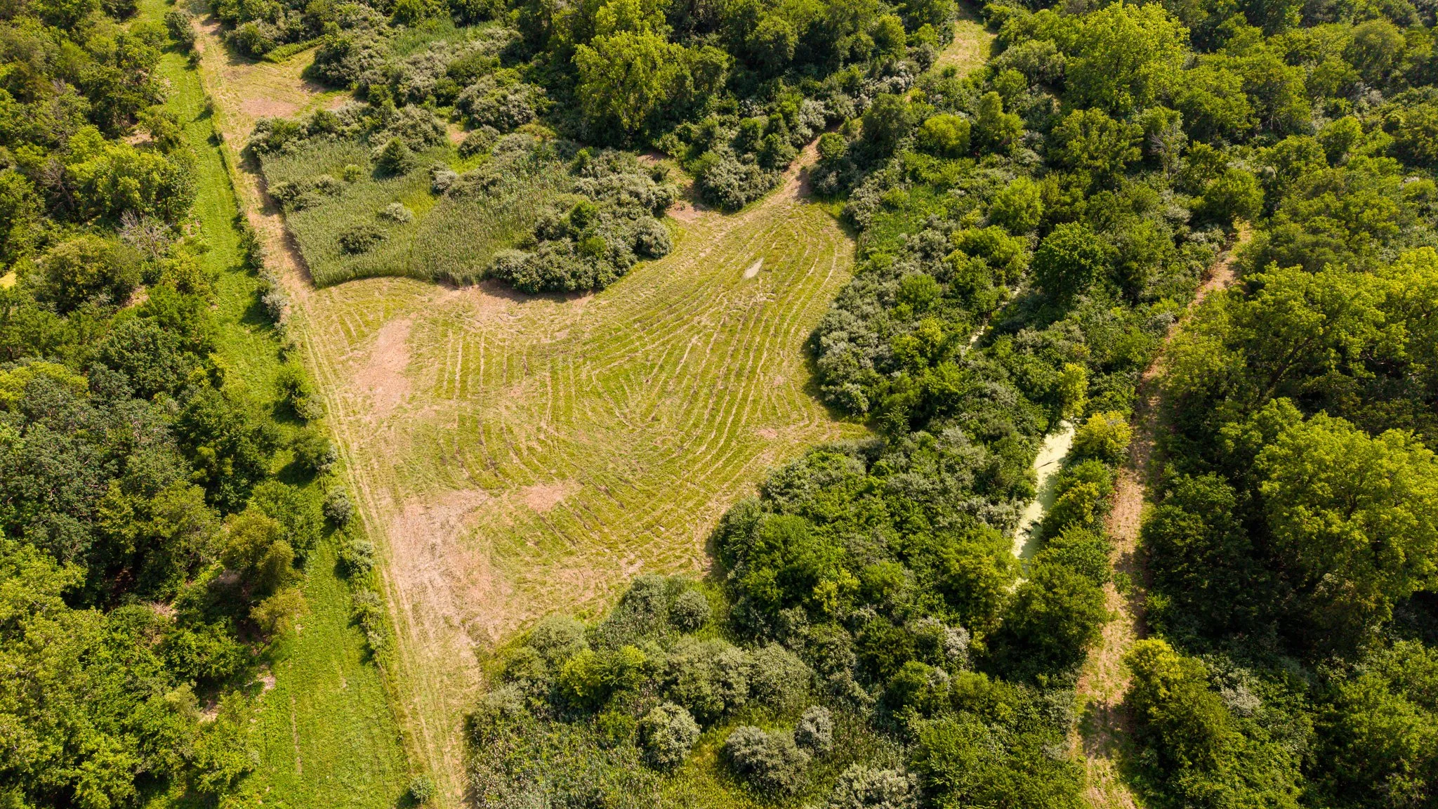 DJI_20260715051920_0070_D.jpg