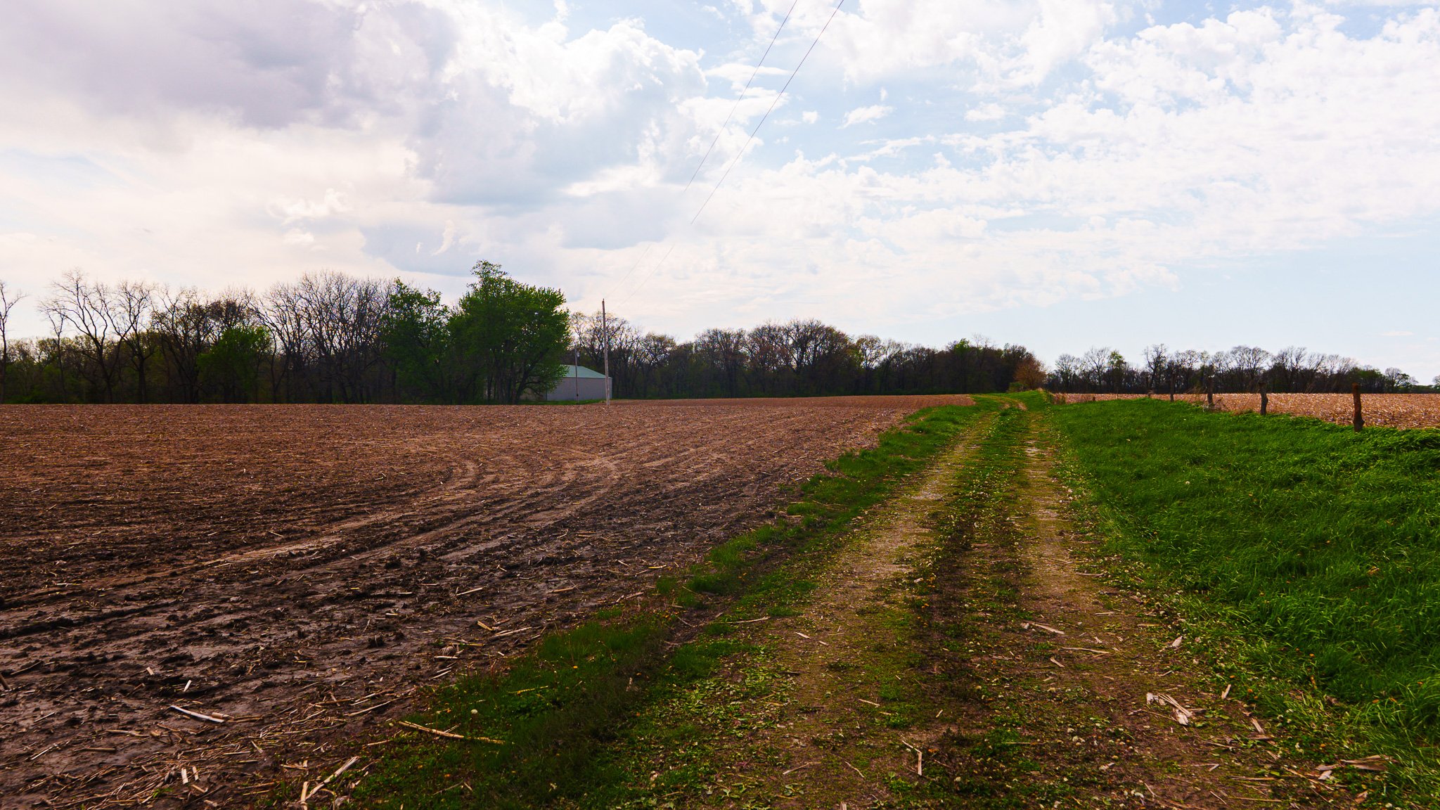 DSC04368-2.jpg