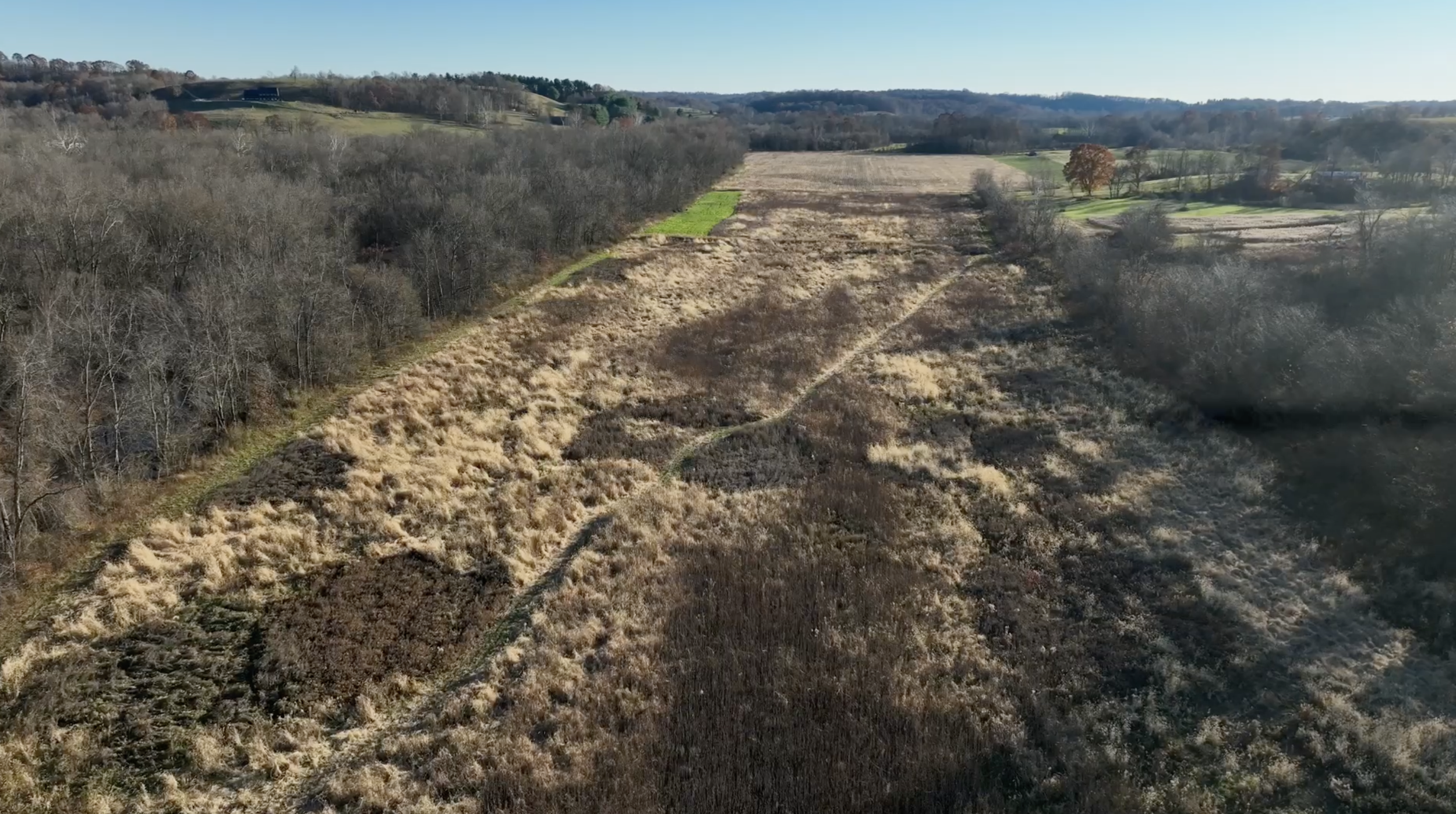 Screenshot 2025-11-18 at 9.41.00 PM.png