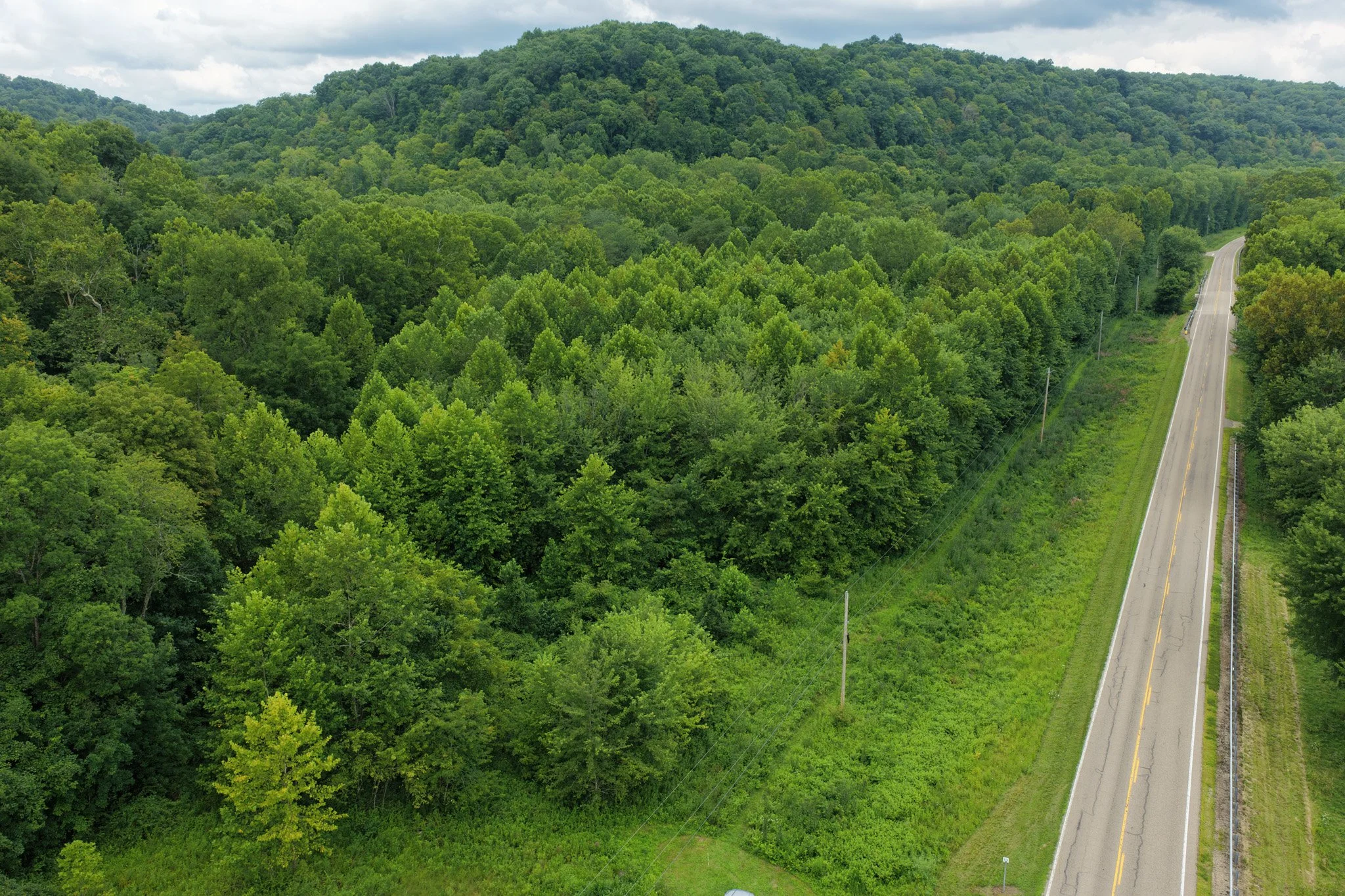 DJI_20260729113443_0002_D.jpg