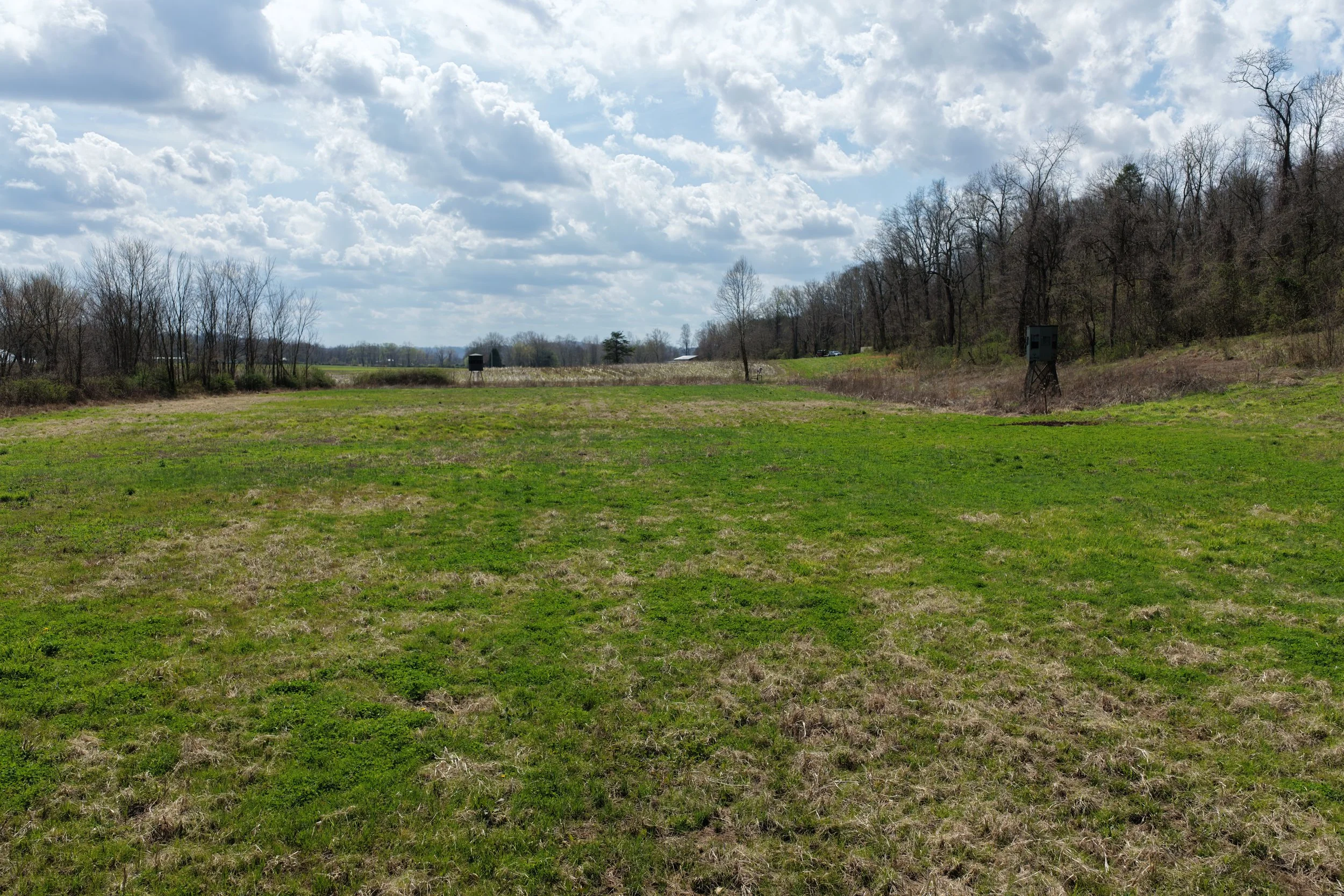 DJI_20260331132432_0009_D.JPG