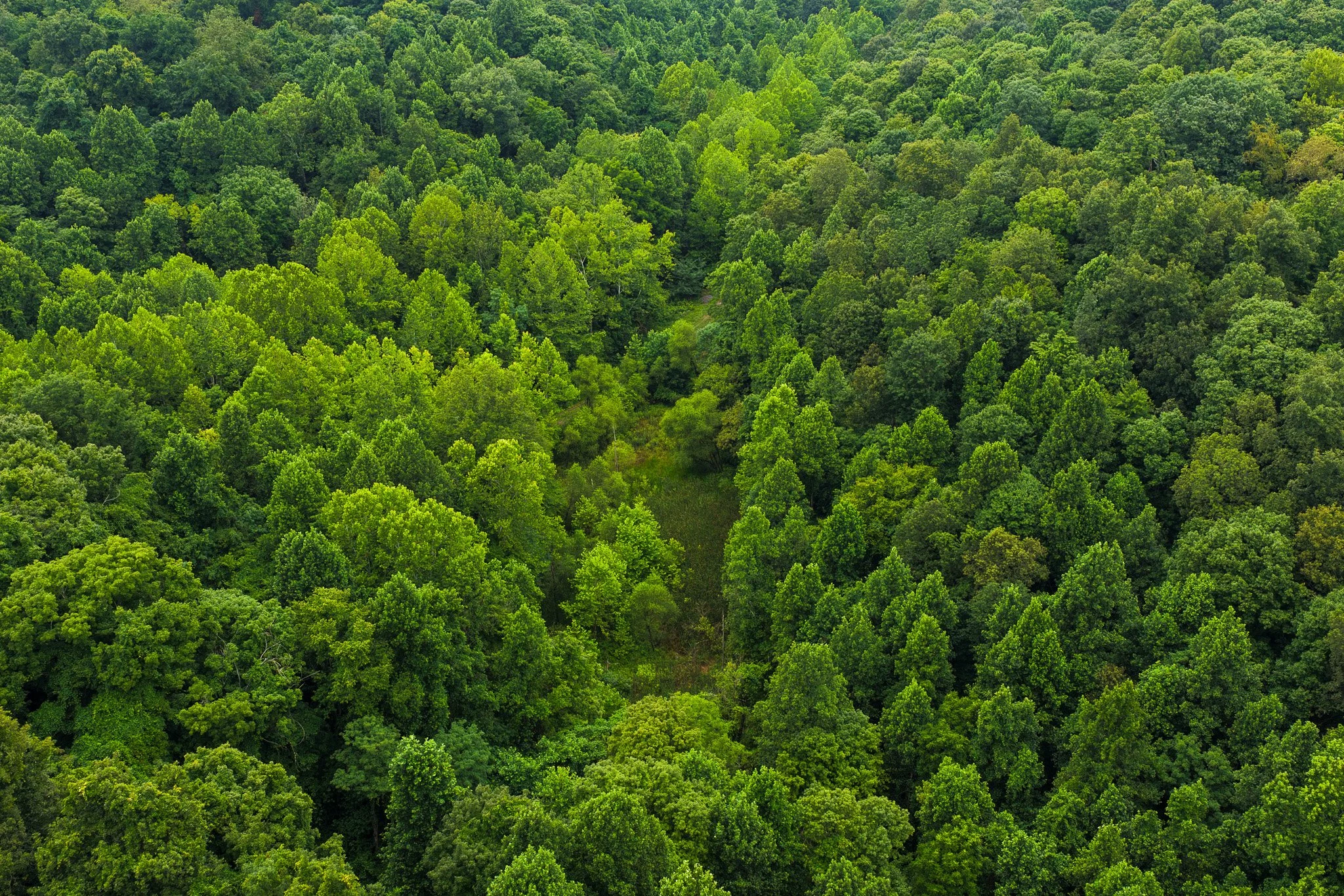 DJI_20260728124007_0040_D.jpg