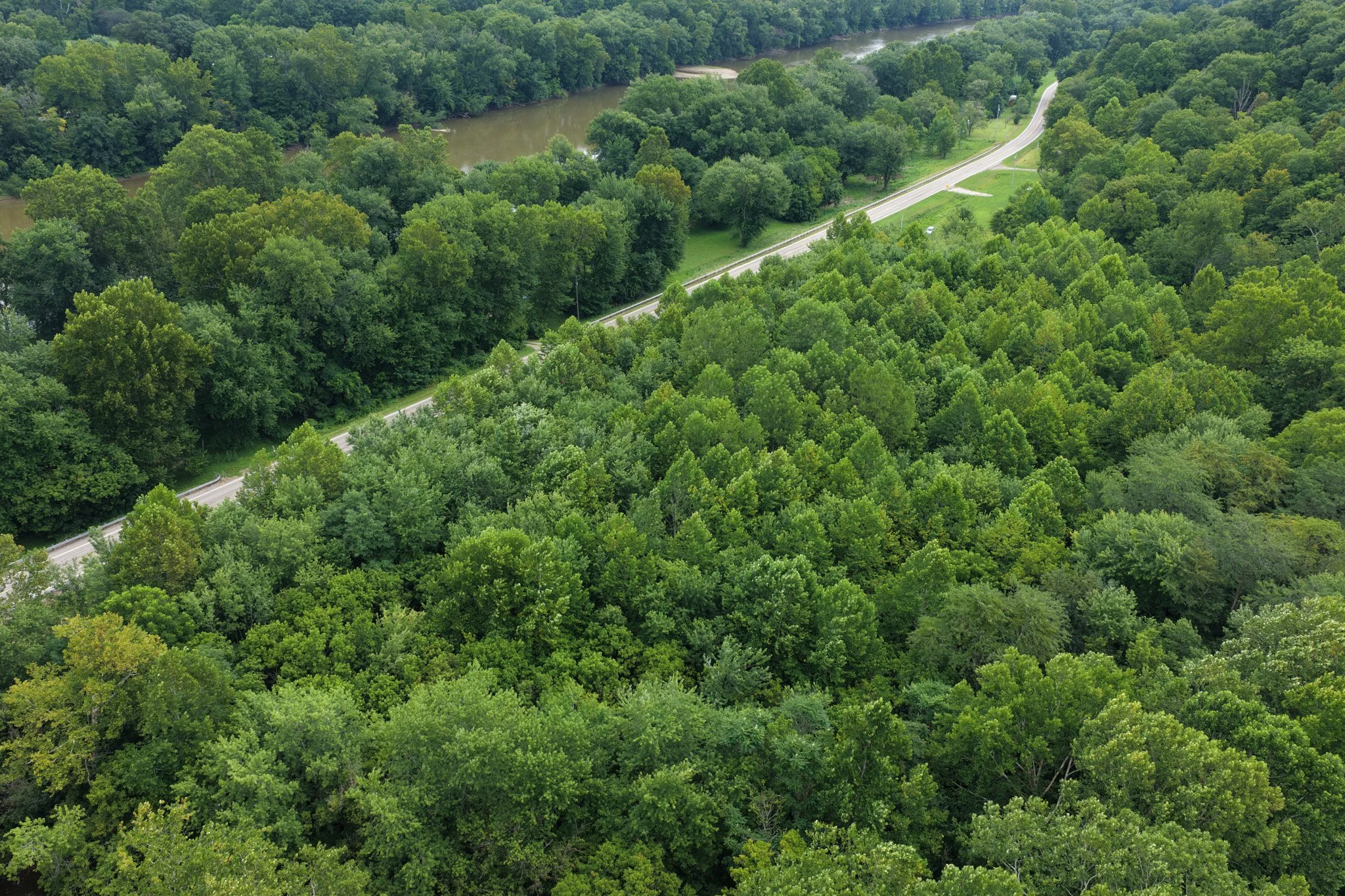 DJI_20260729113945_0014_D.jpg