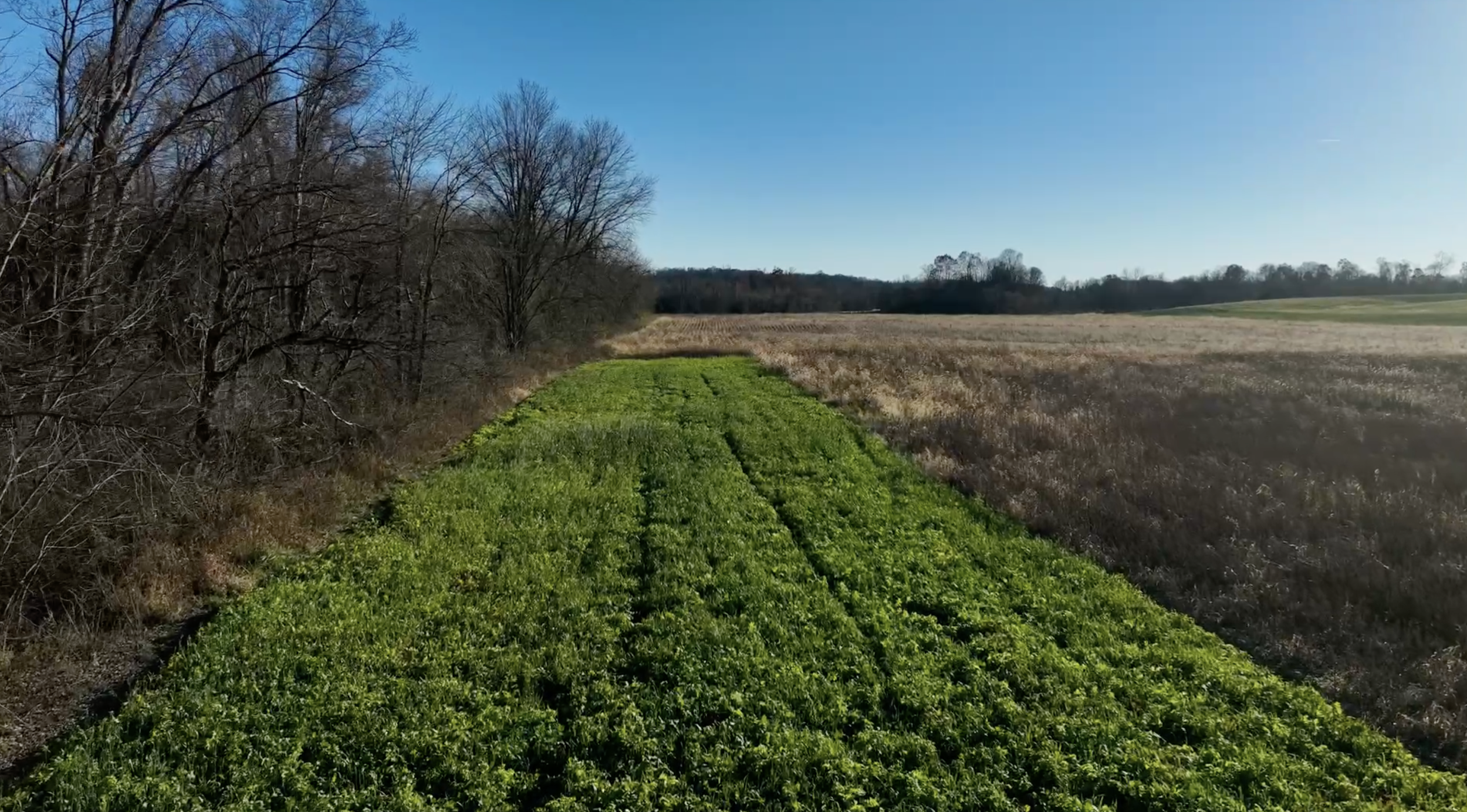 Screenshot 2025-11-18 at 9.41.29 PM.png