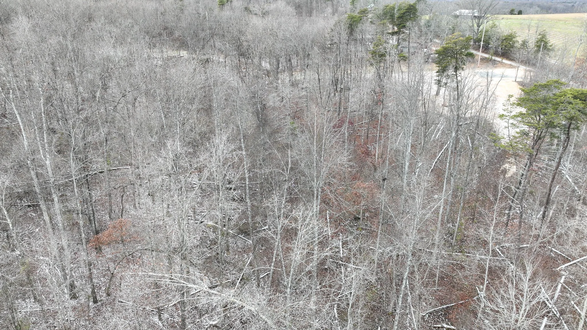 DJI_0584.jpg