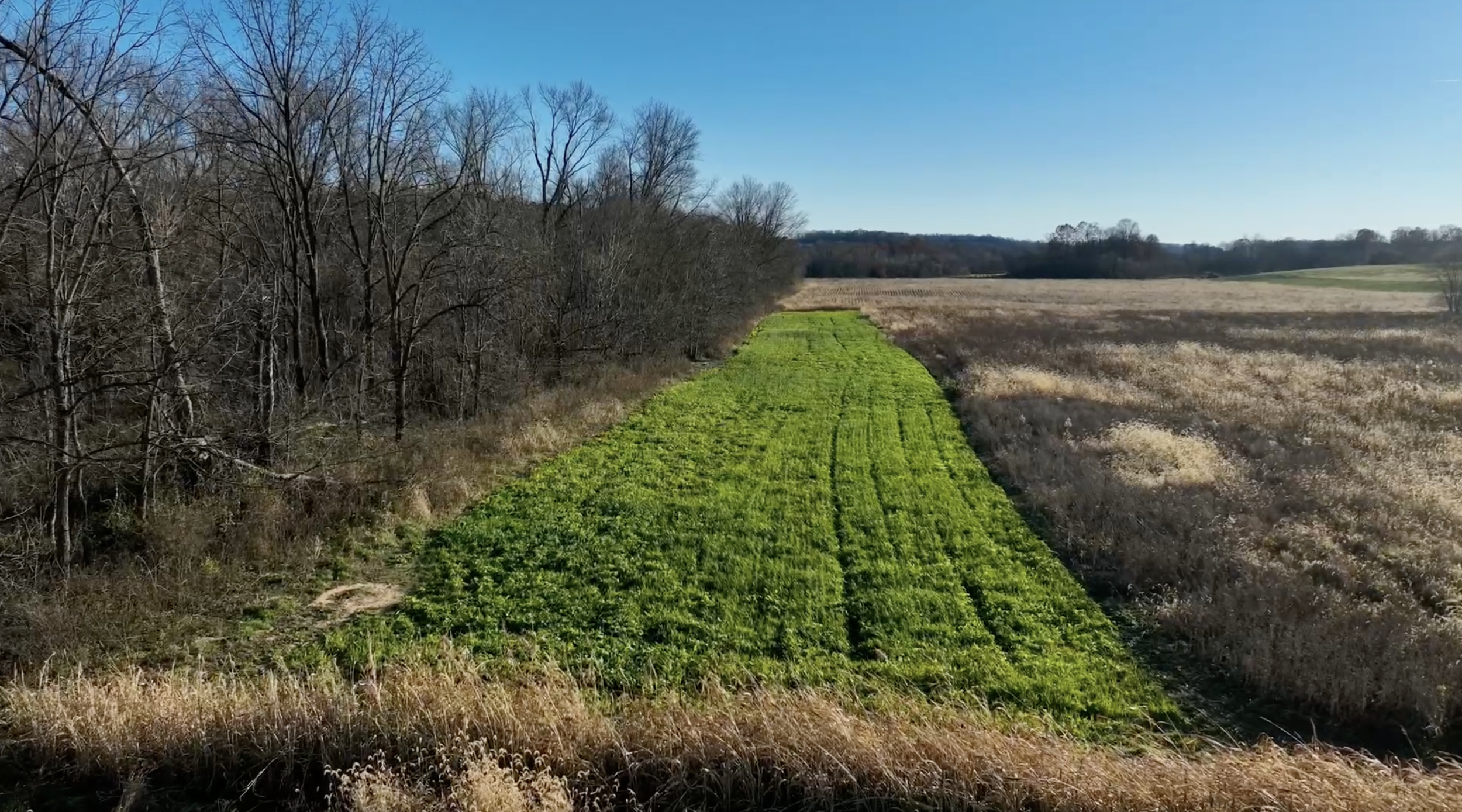 Screenshot 2025-11-18 at 9.41.14 PM.png