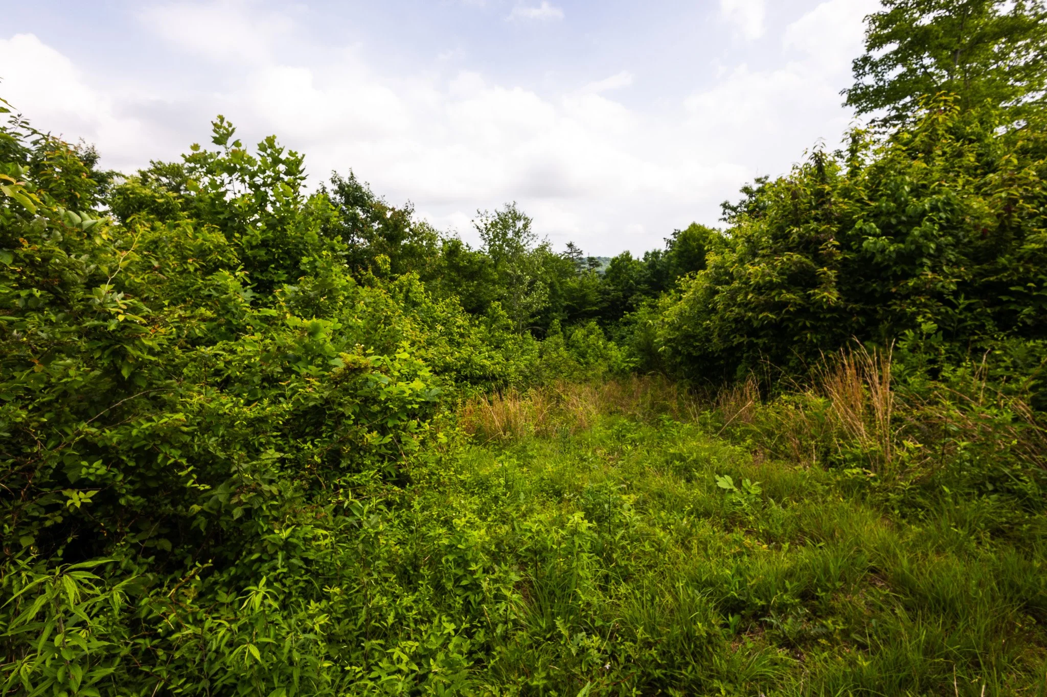 _A9A4199.jpg