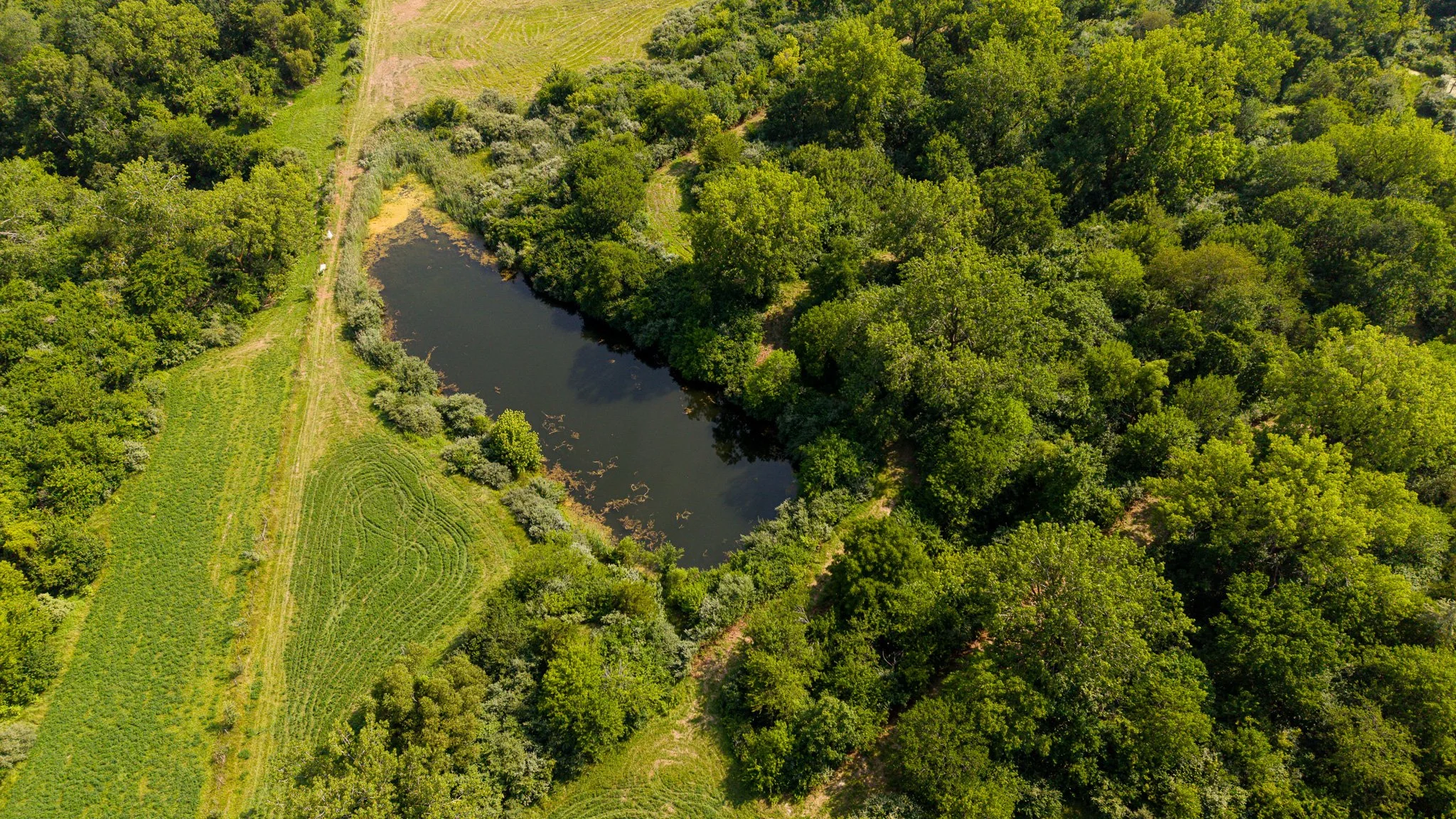 DJI_20260715051851_0068_D.jpg