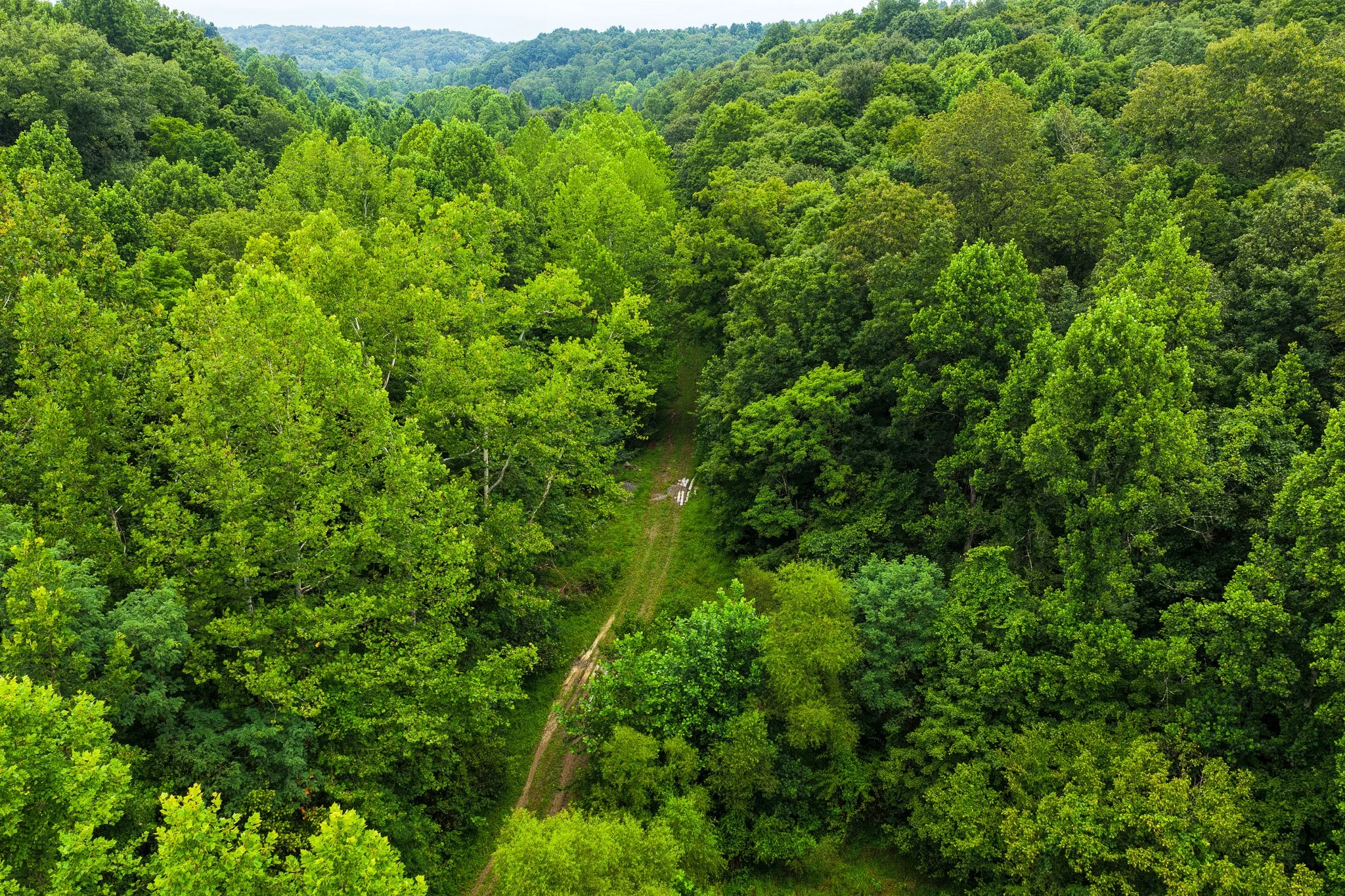 DJI_20260728124101_0044_D.jpg