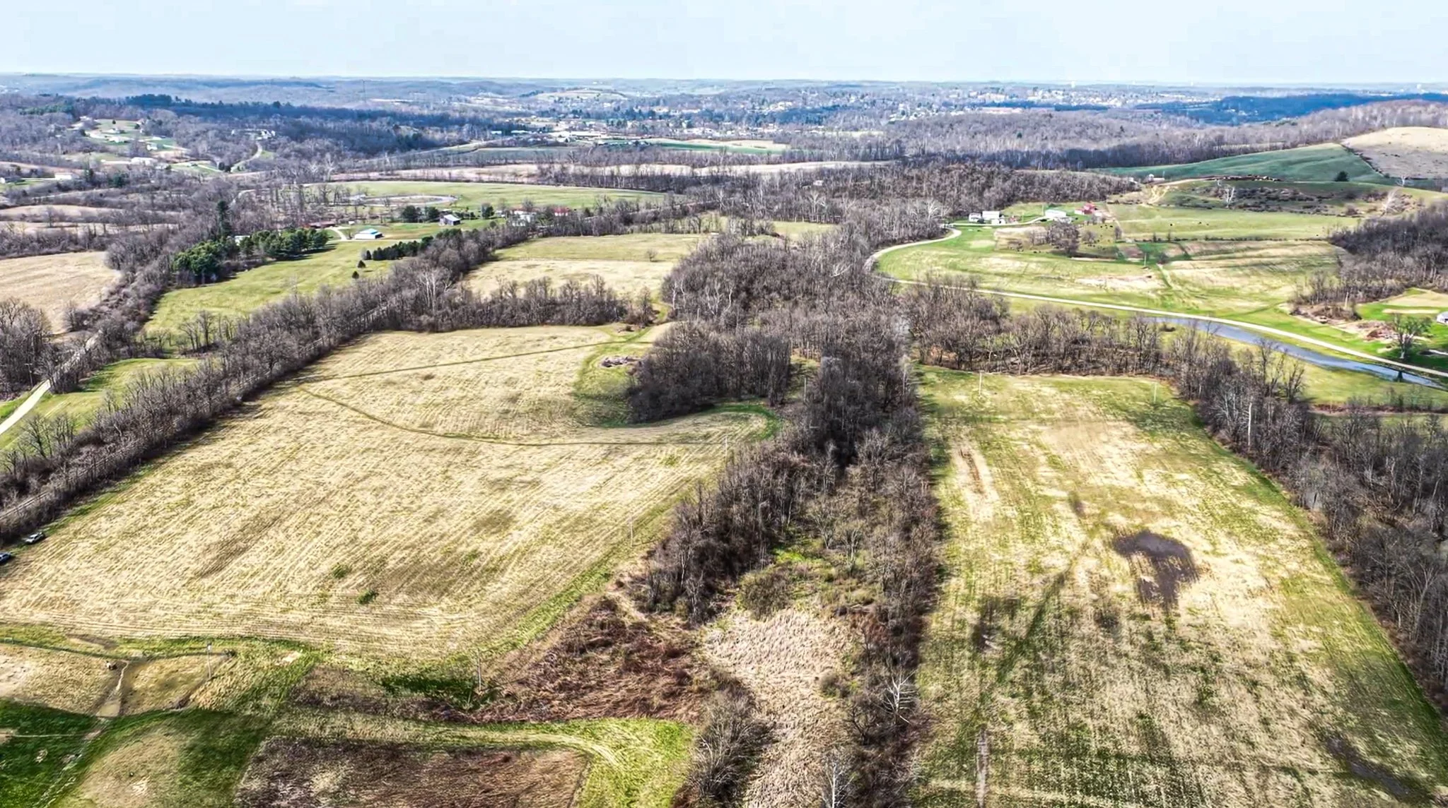 Screenshot 2026-03-31 at 10.58.33 AM.jpg