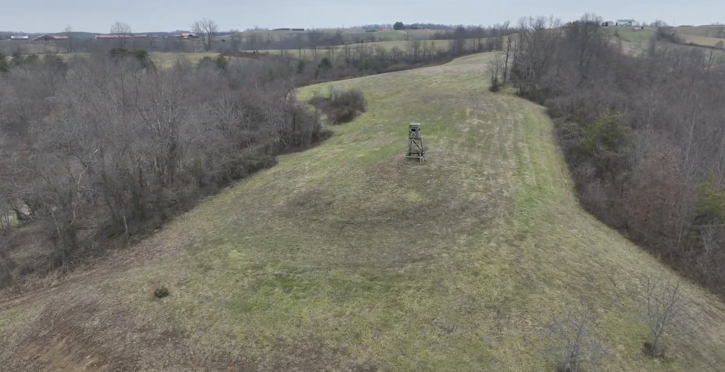 Screenshot 2026-01-01 at 11.23.24 AM.png