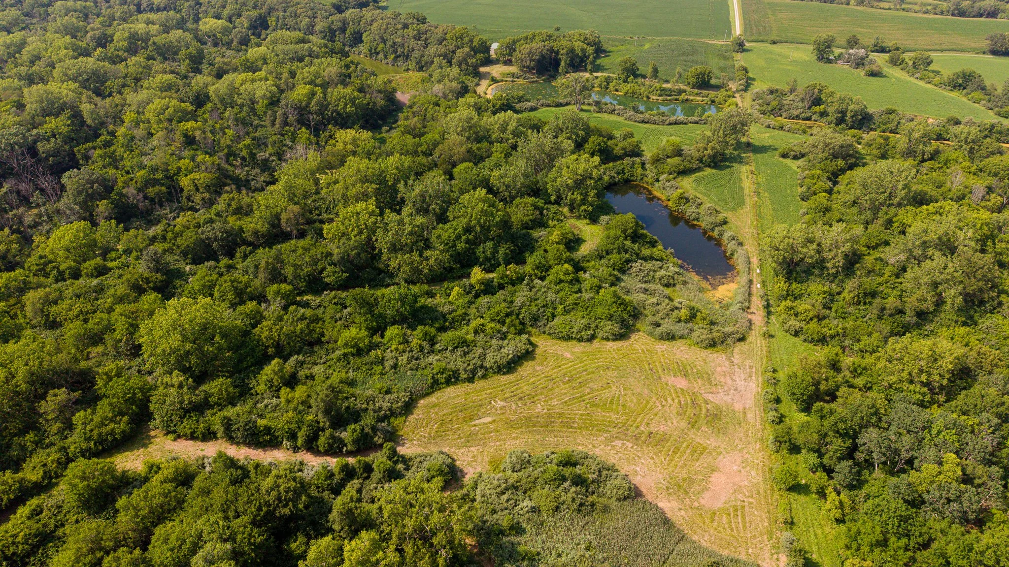 DJI_20260715052022_0072_D.jpg