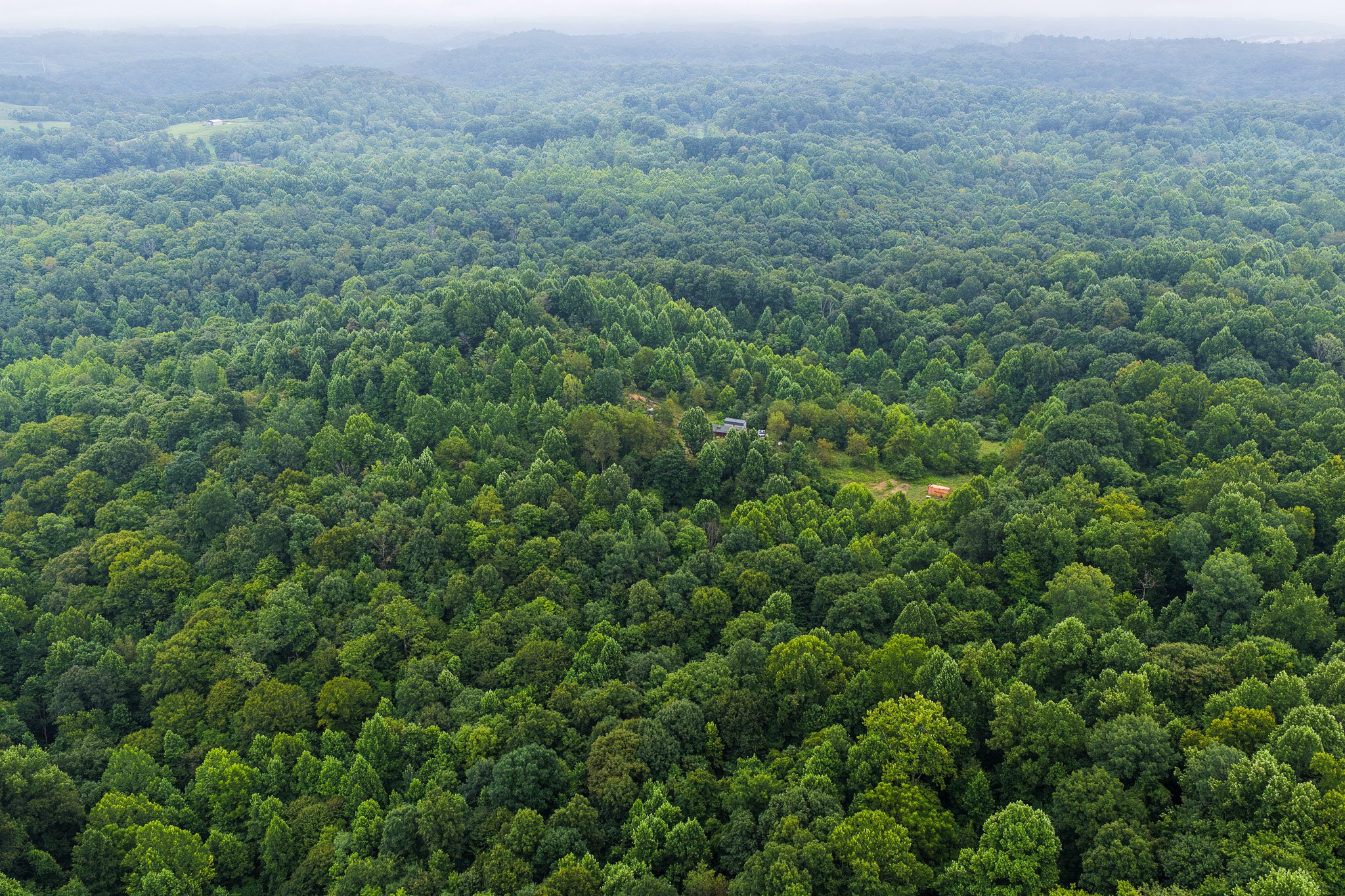 DJI_20260728122832_0025_D.jpg